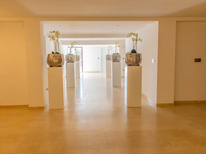 Impressive Luxury Villa in 24.500 m2 plot in Guadalmina.