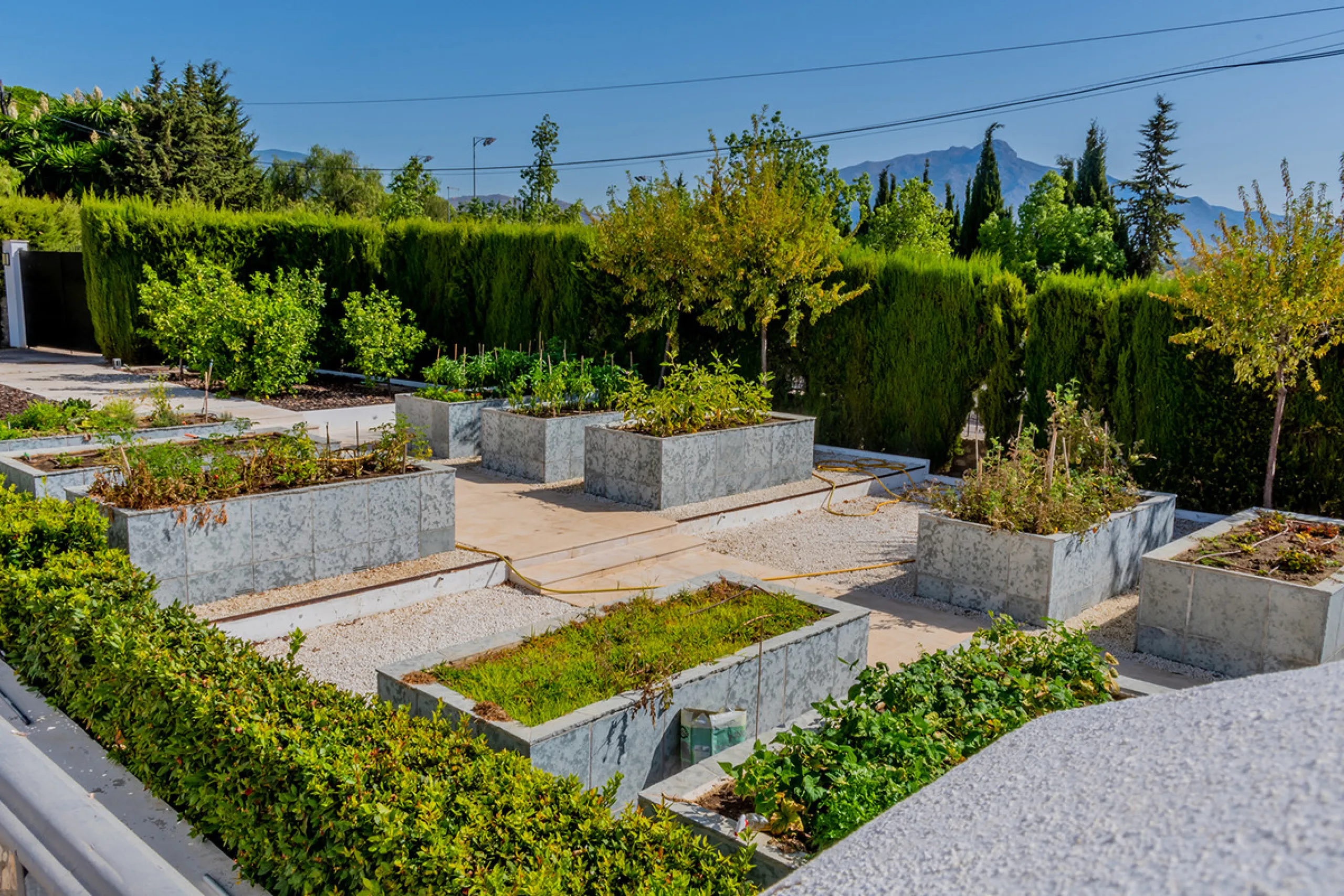 Impressive Luxury Villa in 24.500 m2 plot in Guadalmina.