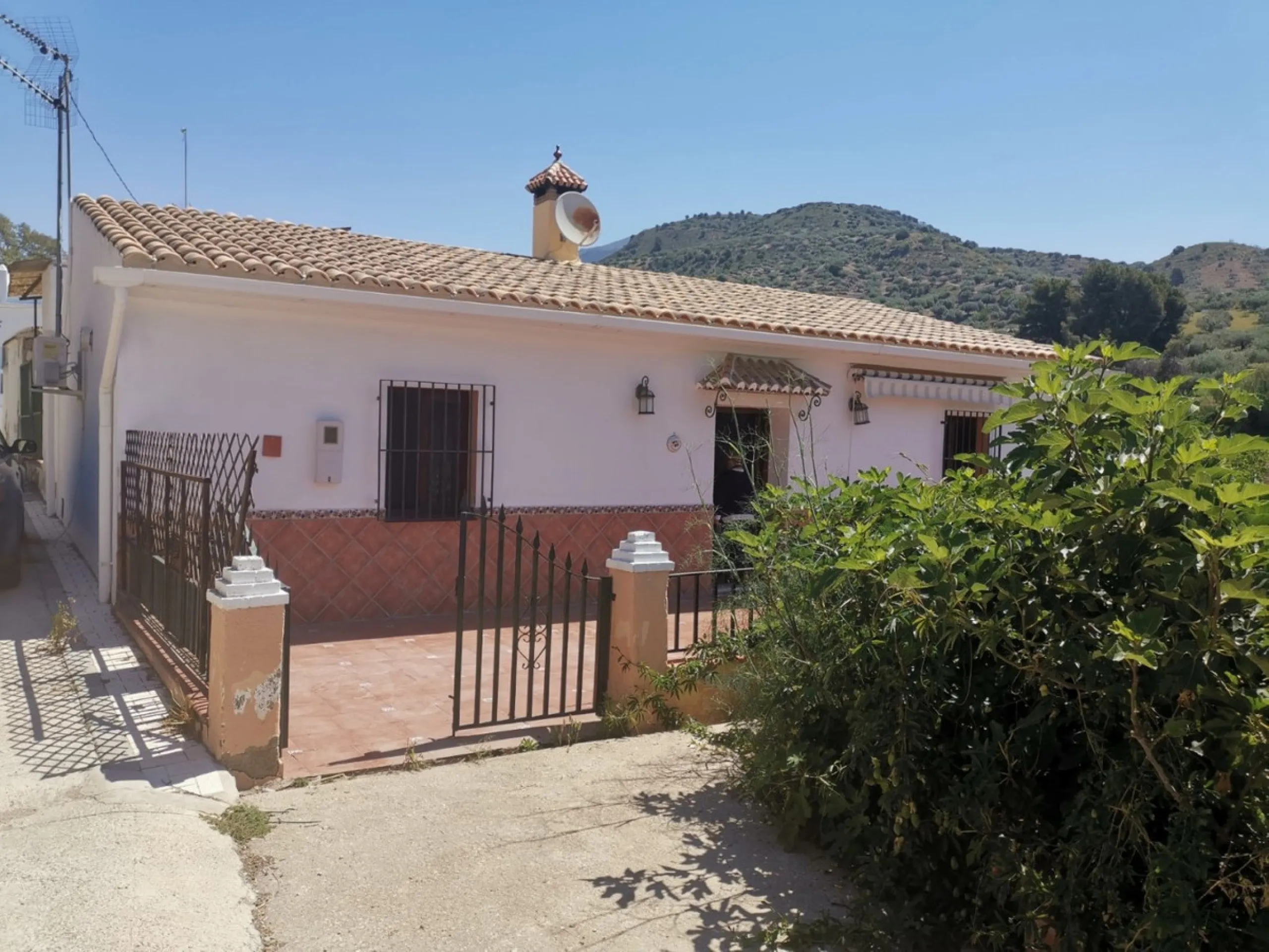 Before the professional cultivation of avocado and mango came to Axarquía not so many years ago, it was mainly almond and olive trees that shaped the landscape on the Costa del Sol. Even today, particularly in the interior of the Axarquía, there are impre