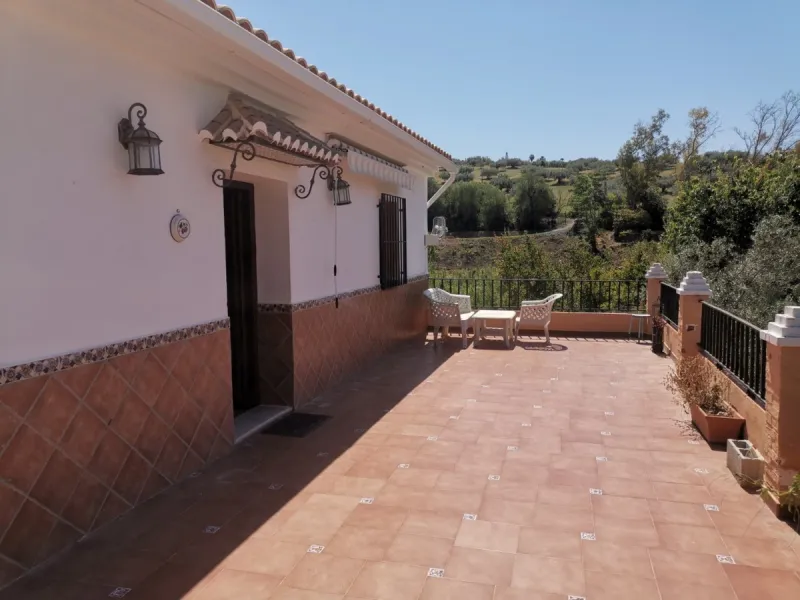 Before the professional cultivation of avocado and mango came to Axarquía not so many years ago, it was mainly almond and olive trees that shaped the landscape on the Costa del Sol. Even today, particularly in the interior of the Axarquía, there are impre