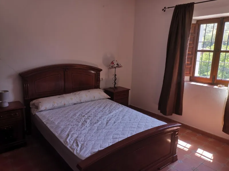 Before the professional cultivation of avocado and mango came to Axarquía not so many years ago, it was mainly almond and olive trees that shaped the landscape on the Costa del Sol. Even today, particularly in the interior of the Axarquía, there are impre