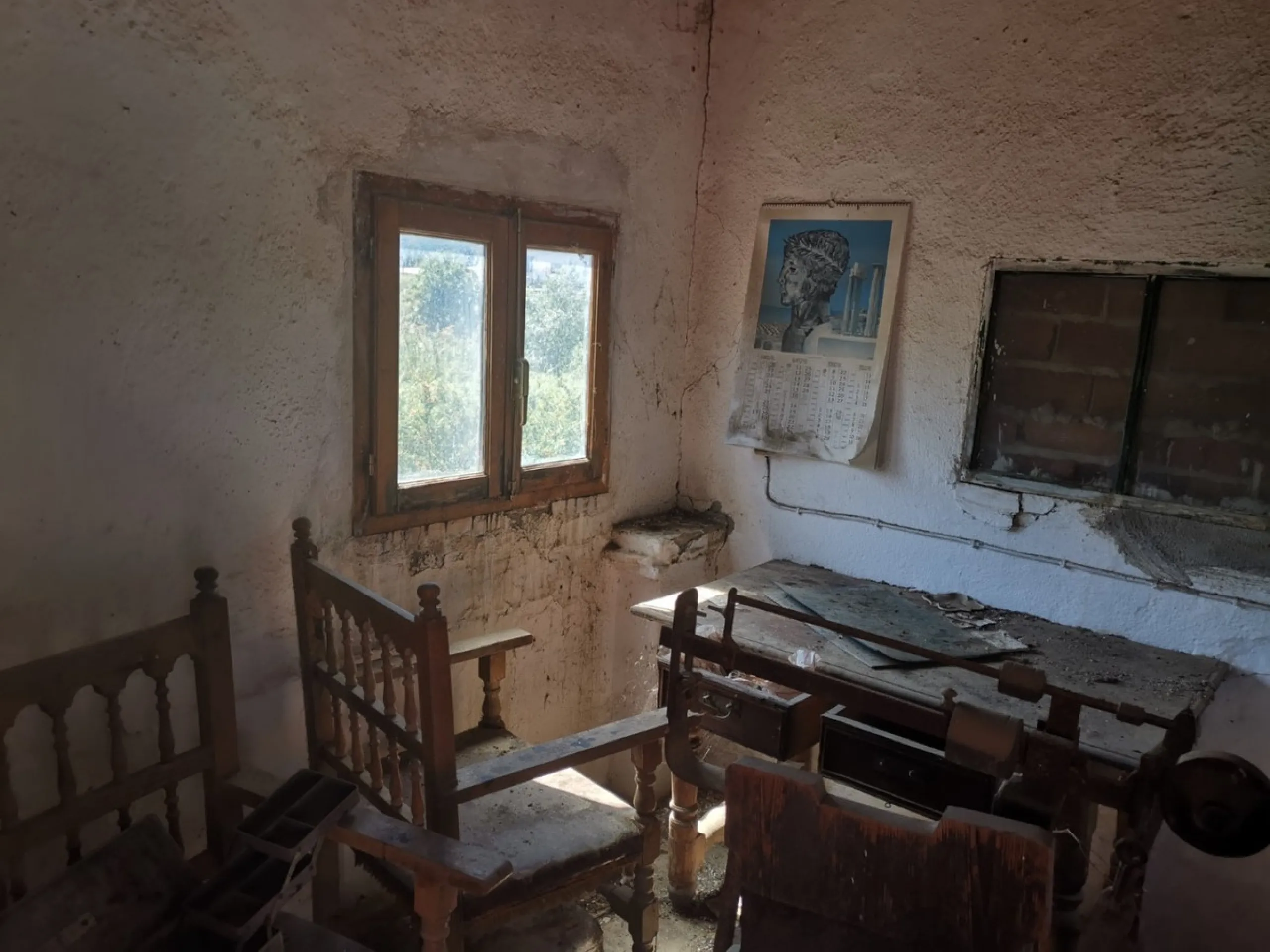 Before the professional cultivation of avocado and mango came to Axarquía not so many years ago, it was mainly almond and olive trees that shaped the landscape on the Costa del Sol. Even today, particularly in the interior of the Axarquía, there are impre
