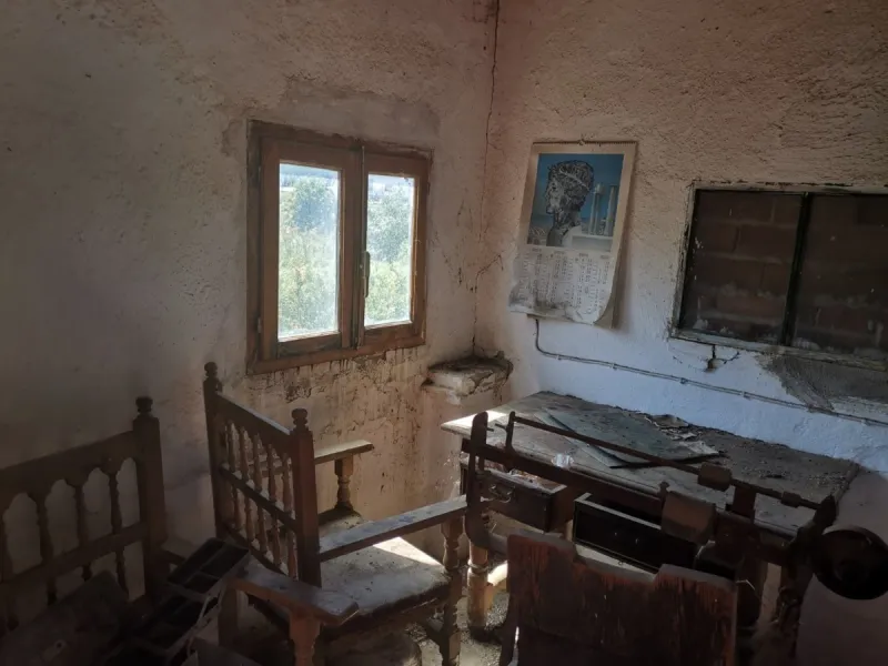 Before the professional cultivation of avocado and mango came to Axarquía not so many years ago, it was mainly almond and olive trees that shaped the landscape on the Costa del Sol. Even today, particularly in the interior of the Axarquía, there are impre