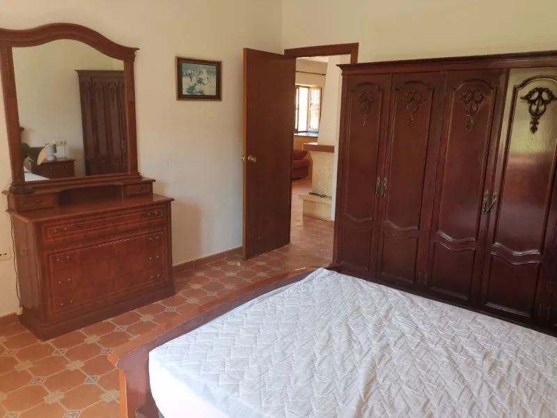 Before the professional cultivation of avocado and mango came to Axarquía not so many years ago, it was mainly almond and olive trees that shaped the landscape on the Costa del Sol. Even today, particularly in the interior of the Axarquía, there are impre