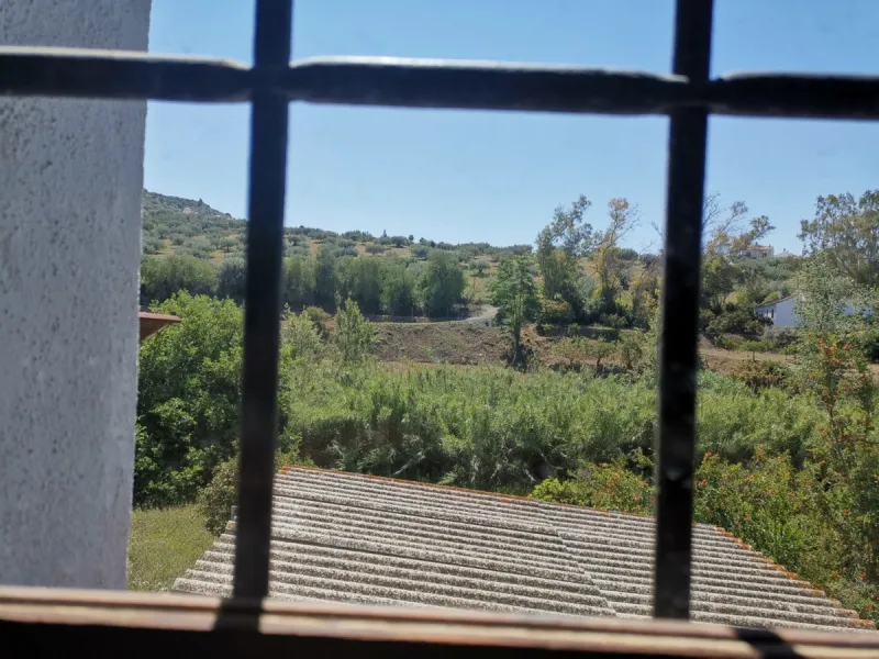 Before the professional cultivation of avocado and mango came to Axarquía not so many years ago, it was mainly almond and olive trees that shaped the landscape on the Costa del Sol. Even today, particularly in the interior of the Axarquía, there are impre