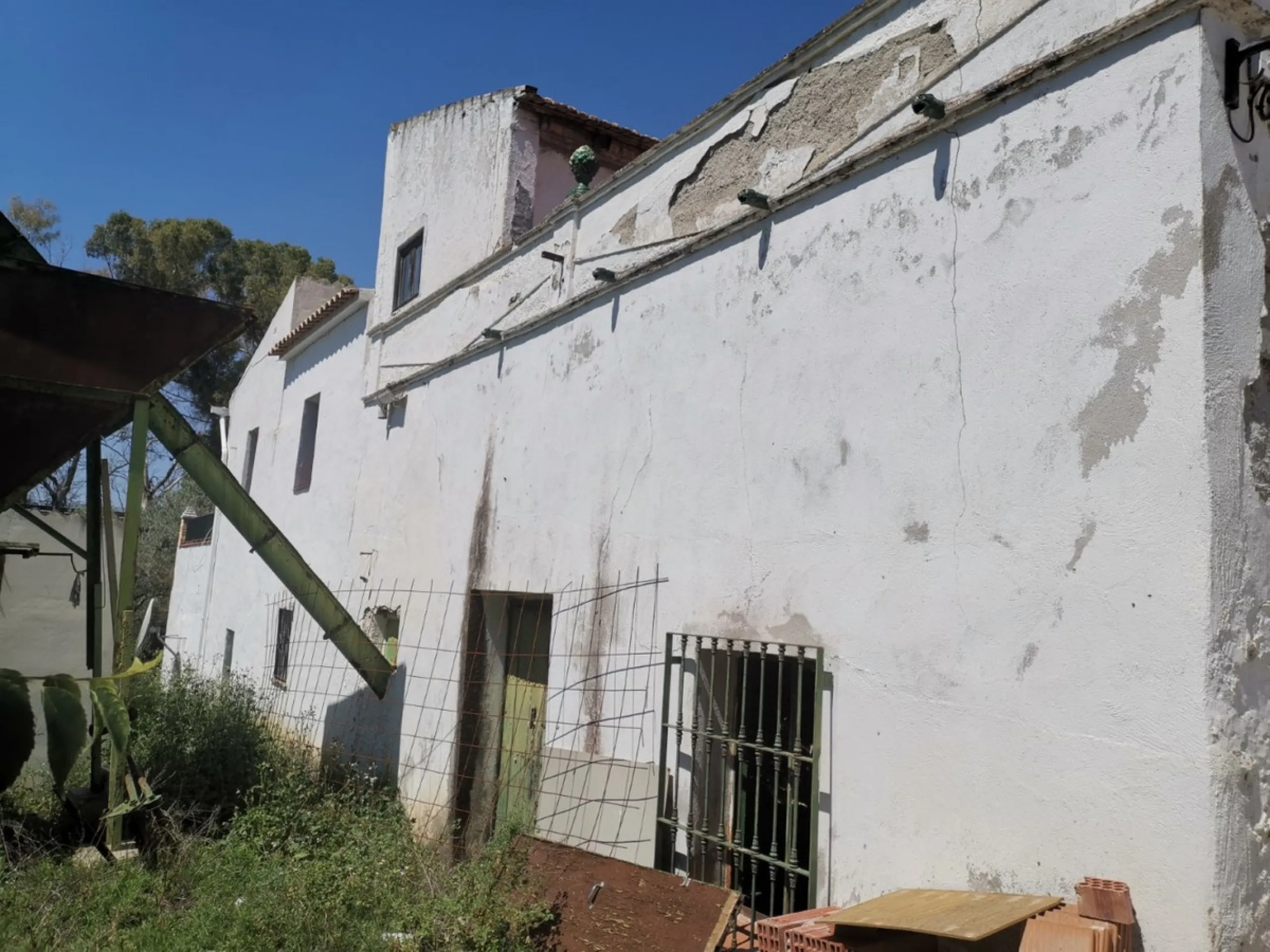 Before the professional cultivation of avocado and mango came to Axarquía not so many years ago, it was mainly almond and olive trees that shaped the landscape on the Costa del Sol. Even today, particularly in the interior of the Axarquía, there are impre