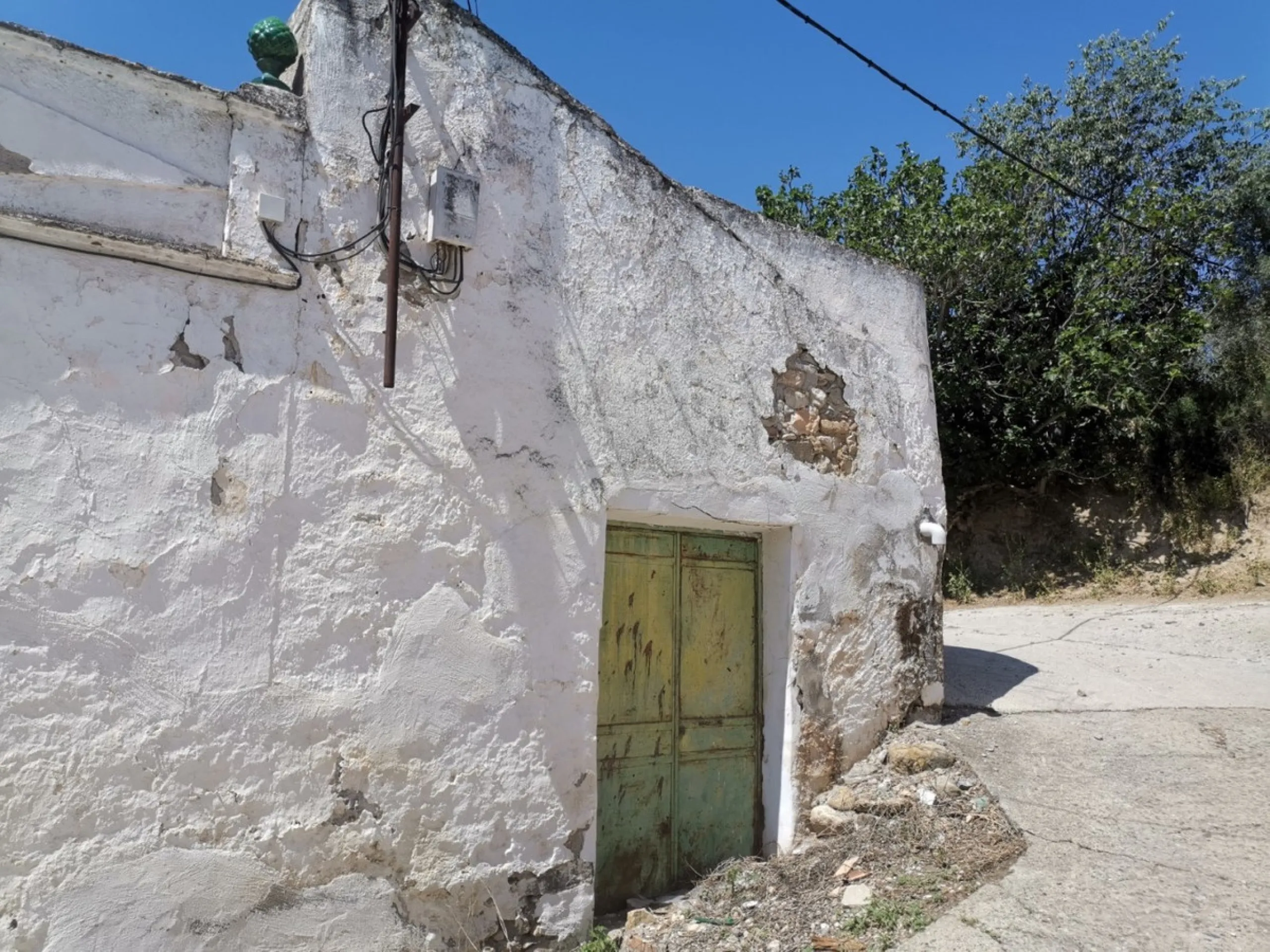 Before the professional cultivation of avocado and mango came to Axarquía not so many years ago, it was mainly almond and olive trees that shaped the landscape on the Costa del Sol. Even today, particularly in the interior of the Axarquía, there are impre