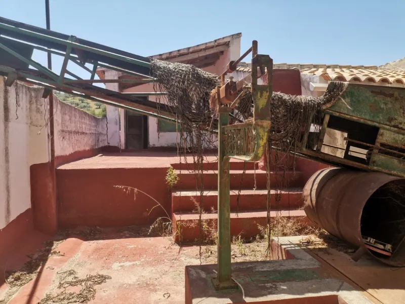 Before the professional cultivation of avocado and mango came to Axarquía not so many years ago, it was mainly almond and olive trees that shaped the landscape on the Costa del Sol. Even today, particularly in the interior of the Axarquía, there are impre