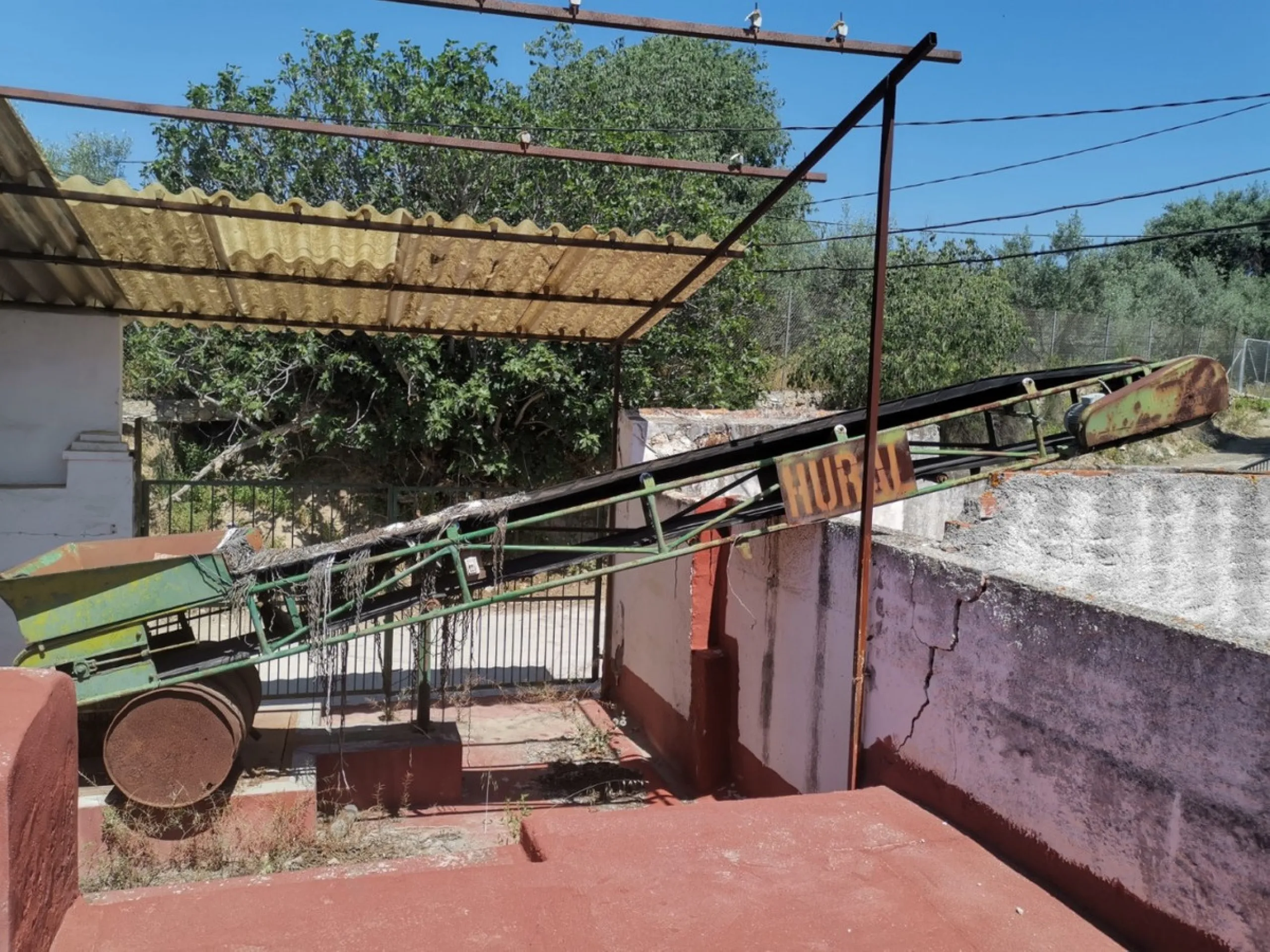 Before the professional cultivation of avocado and mango came to Axarquía not so many years ago, it was mainly almond and olive trees that shaped the landscape on the Costa del Sol. Even today, particularly in the interior of the Axarquía, there are impre