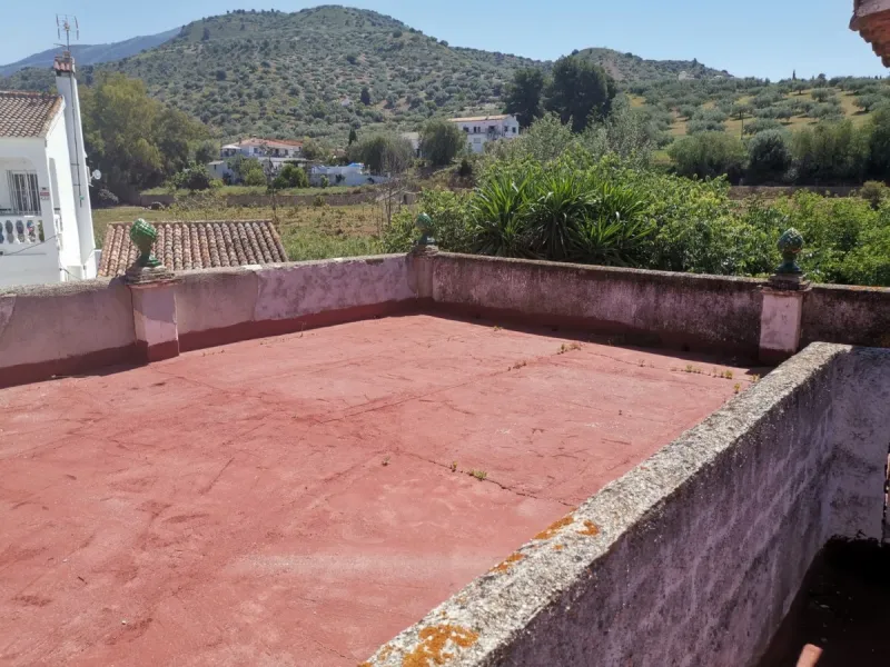 Before the professional cultivation of avocado and mango came to Axarquía not so many years ago, it was mainly almond and olive trees that shaped the landscape on the Costa del Sol. Even today, particularly in the interior of the Axarquía, there are impre