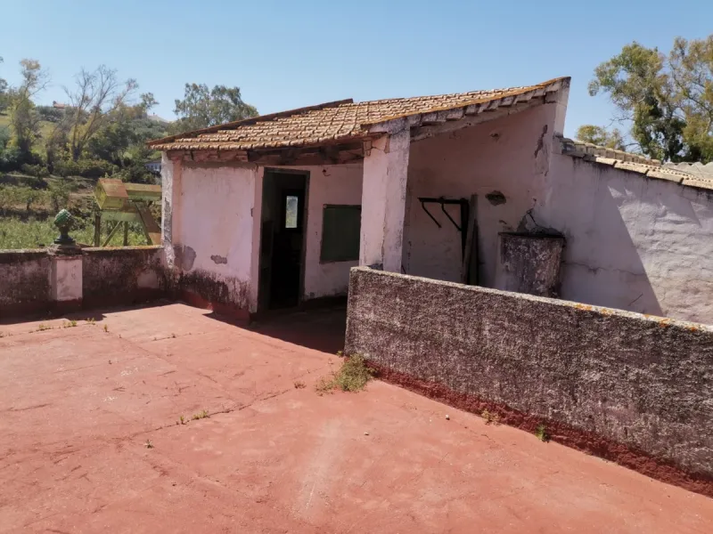 Before the professional cultivation of avocado and mango came to Axarquía not so many years ago, it was mainly almond and olive trees that shaped the landscape on the Costa del Sol. Even today, particularly in the interior of the Axarquía, there are impre