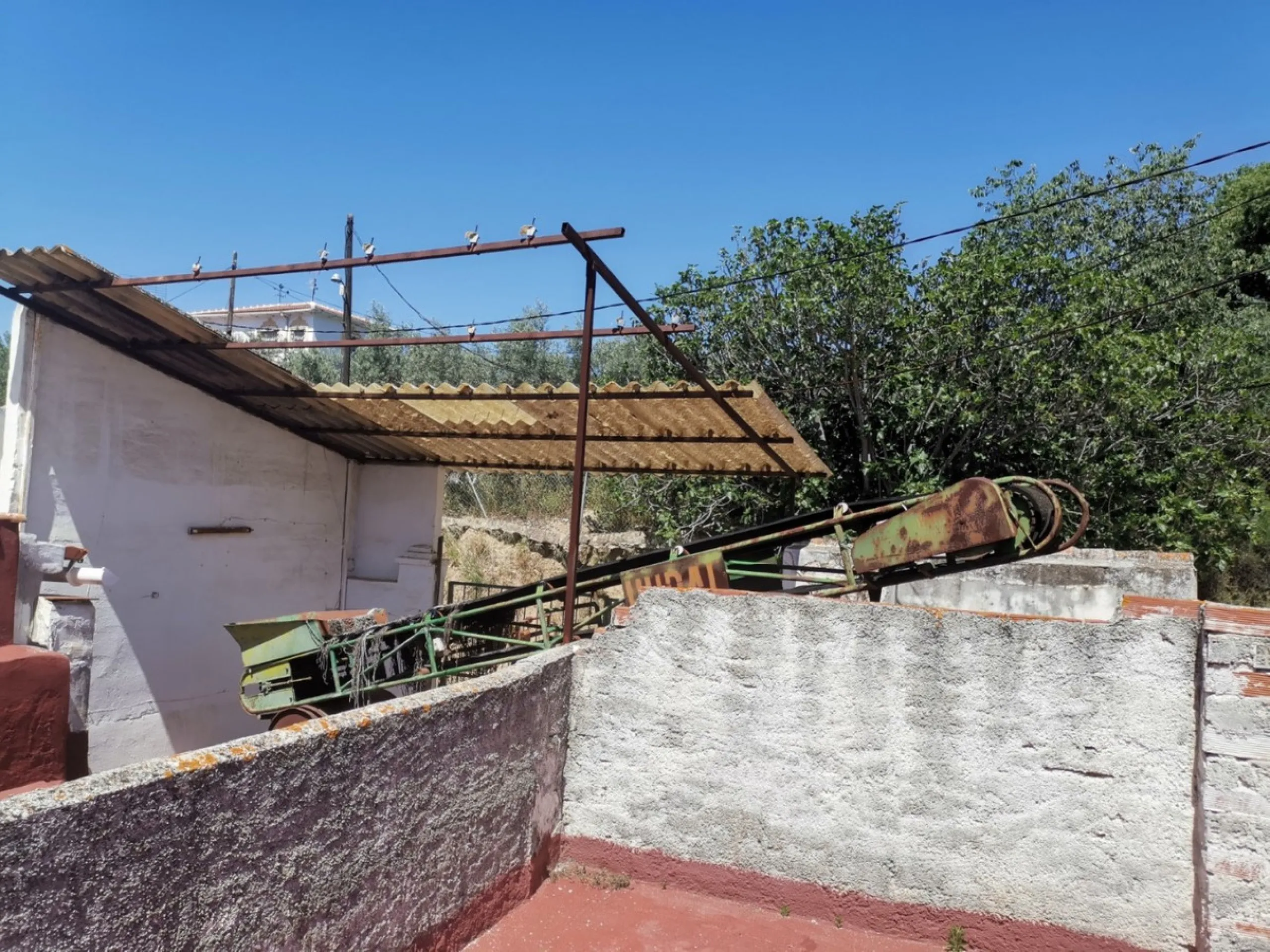 Before the professional cultivation of avocado and mango came to Axarquía not so many years ago, it was mainly almond and olive trees that shaped the landscape on the Costa del Sol. Even today, particularly in the interior of the Axarquía, there are impre