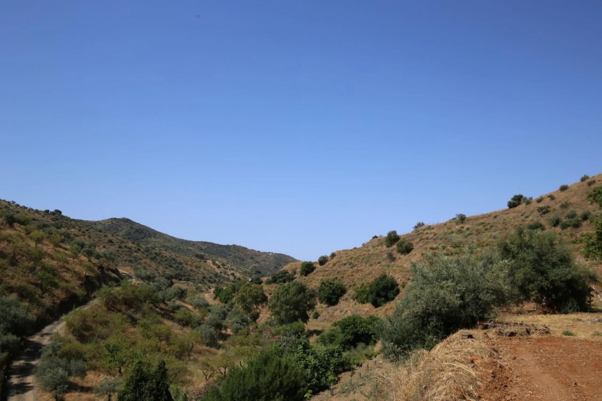 Totalán is a village located in Malaga's Axarquía, just half an hour from Malaga city center and the airport. The farm has 60,000 m2 with mango and avocado trees and vines of various kinds of grapes. It has two wells -one natural and one drilling-. It has