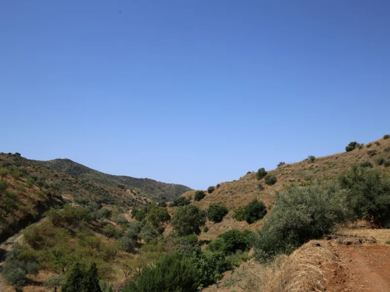 Totalán is a village located in Malaga's Axarquía, just half an hour from Malaga city center and the airport. The farm has 60,000 m2 with mango and avocado trees and vines of various kinds of grapes. It has two wells -one natural and one drilling-. It has