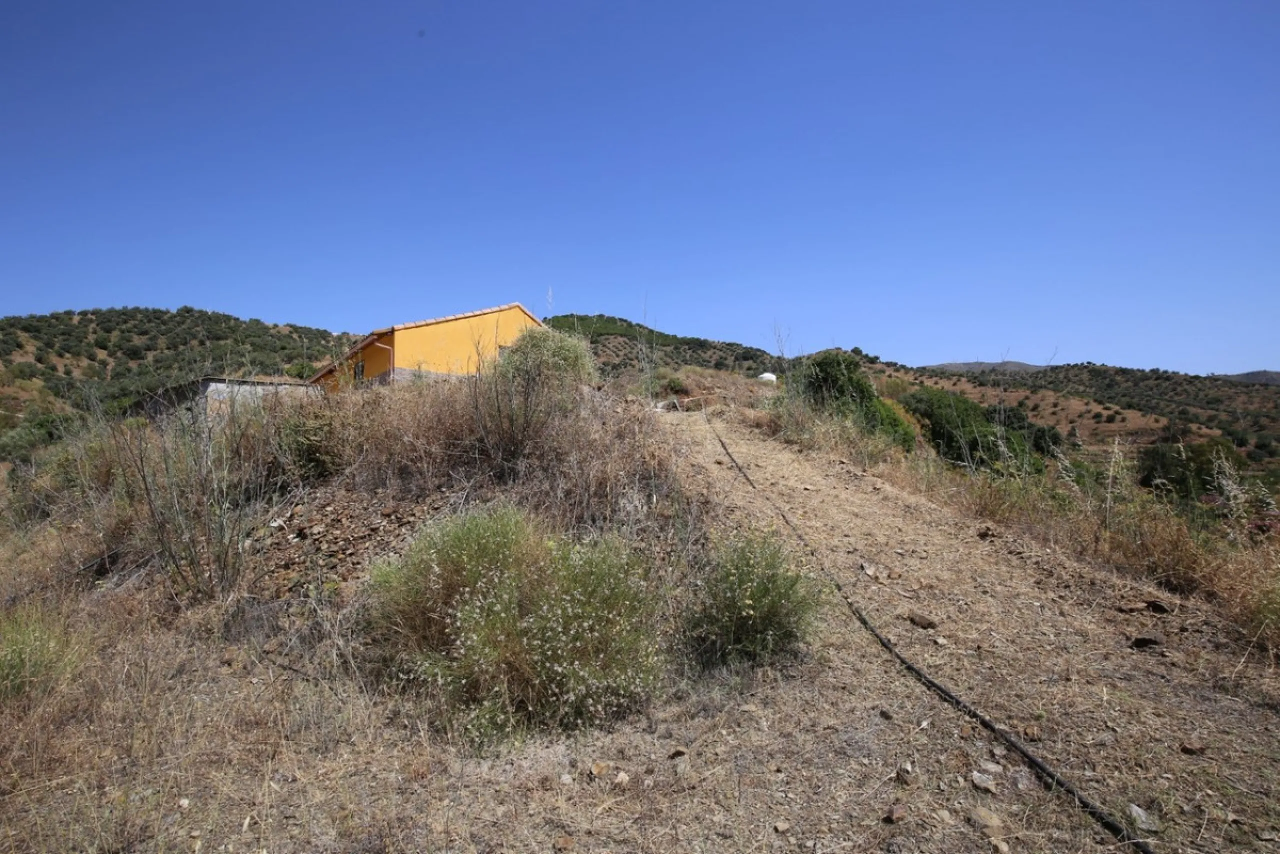 Totalán is a village located in Malaga's Axarquía, just half an hour from Malaga city center and the airport. The farm has 60,000 m2 with mango and avocado trees and vines of various kinds of grapes. It has two wells -one natural and one drilling-. It has