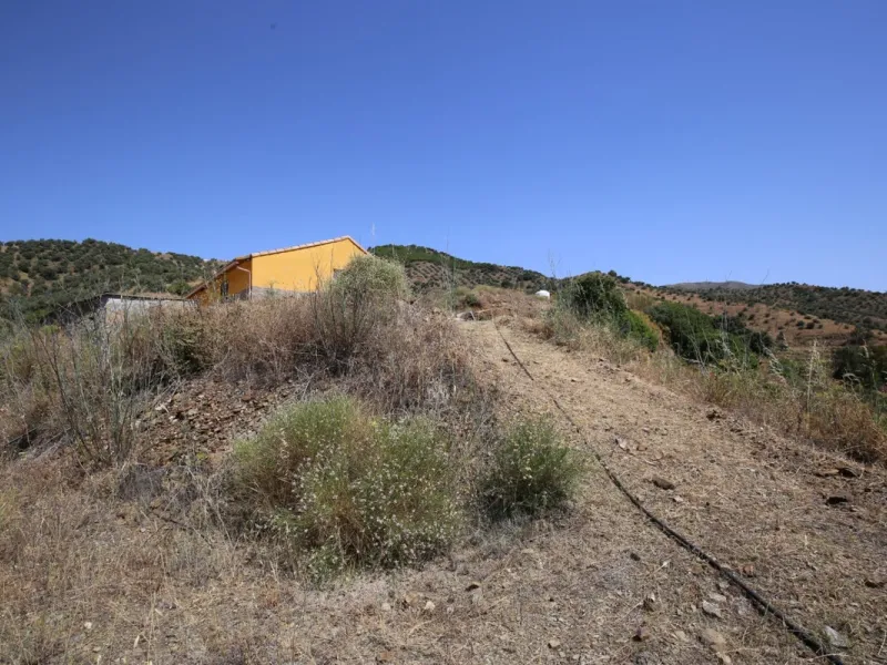 Totalán is a village located in Malaga's Axarquía, just half an hour from Malaga city center and the airport. The farm has 60,000 m2 with mango and avocado trees and vines of various kinds of grapes. It has two wells -one natural and one drilling-. It has