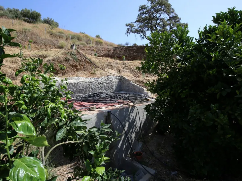 Totalán is a village located in Malaga's Axarquía, just half an hour from Malaga city center and the airport. The farm has 60,000 m2 with mango and avocado trees and vines of various kinds of grapes. It has two wells -one natural and one drilling-. It has
