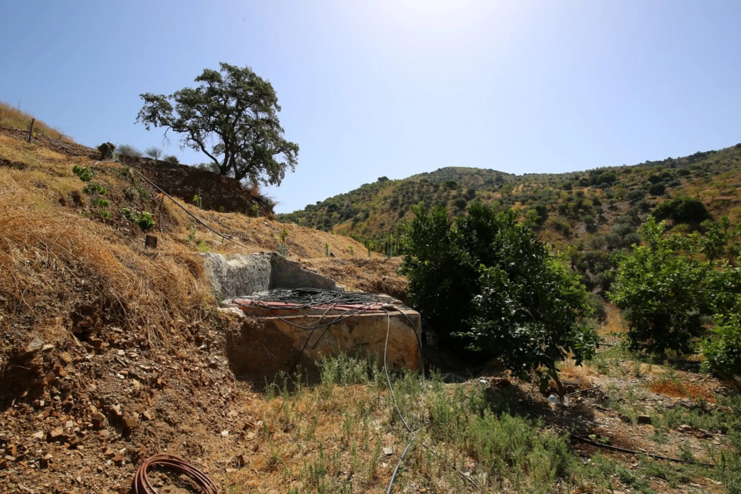 Totalán is a village located in Malaga's Axarquía, just half an hour from Malaga city center and the airport. The farm has 60,000 m2 with mango and avocado trees and vines of various kinds of grapes. It has two wells -one natural and one drilling-. It has