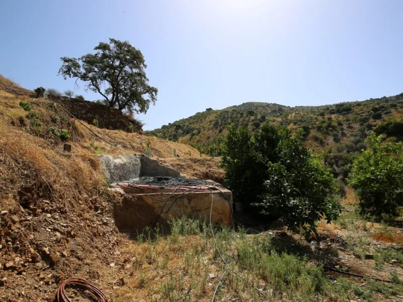 Totalán is a village located in Malaga's Axarquía, just half an hour from Malaga city center and the airport. The farm has 60,000 m2 with mango and avocado trees and vines of various kinds of grapes. It has two wells -one natural and one drilling-. It has