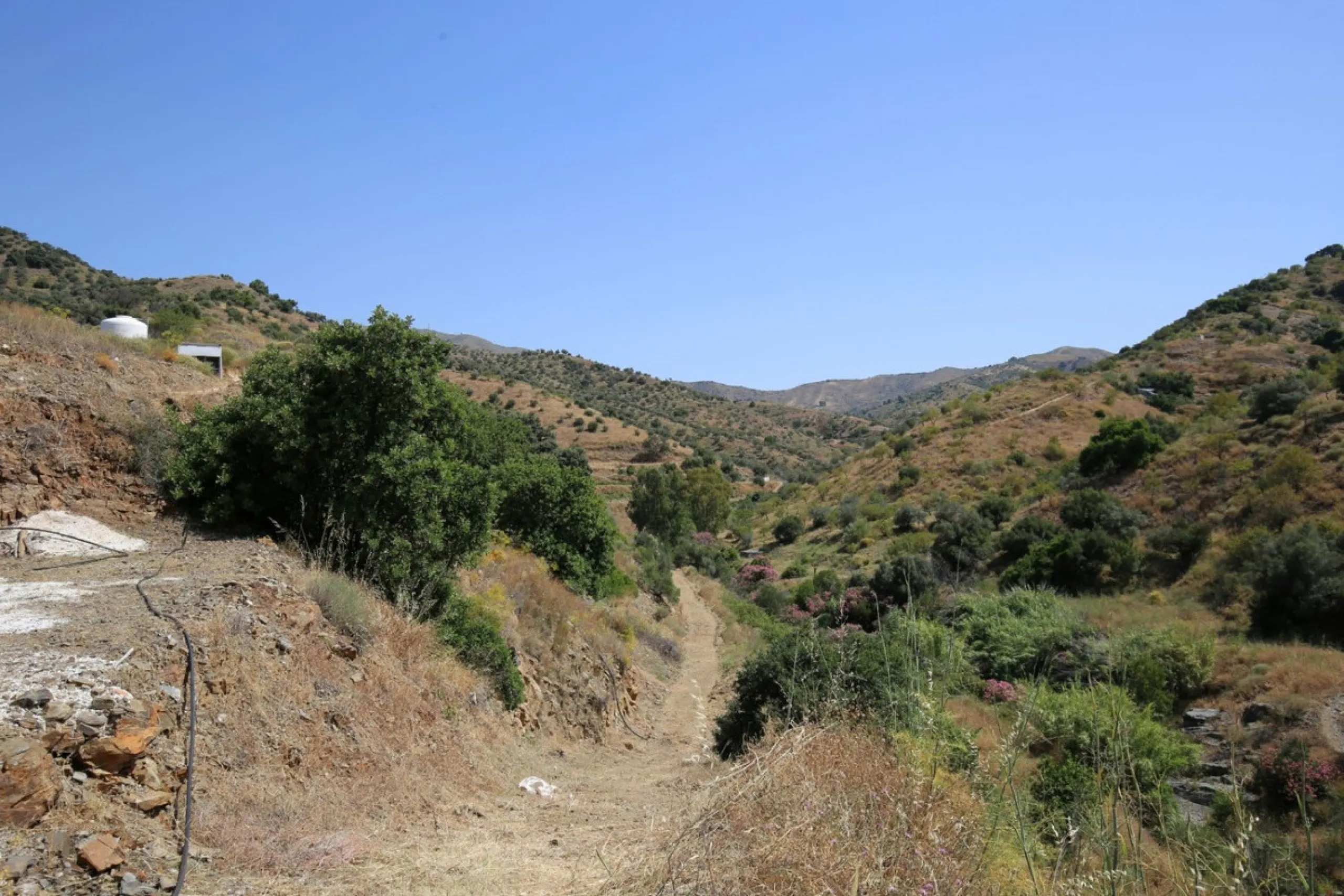 Totalán is a village located in Malaga's Axarquía, just half an hour from Malaga city center and the airport. The farm has 60,000 m2 with mango and avocado trees and vines of various kinds of grapes. It has two wells -one natural and one drilling-. It has