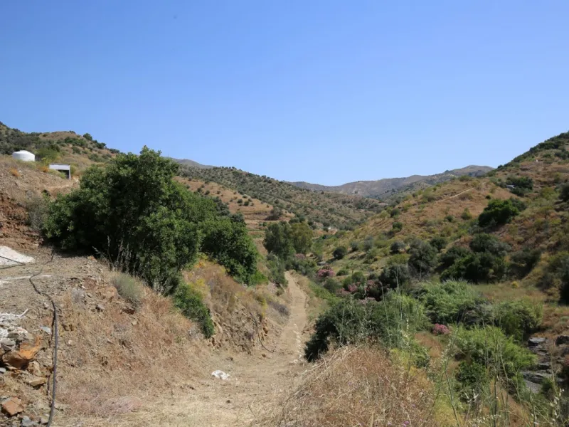 Totalán is a village located in Malaga's Axarquía, just half an hour from Malaga city center and the airport. The farm has 60,000 m2 with mango and avocado trees and vines of various kinds of grapes. It has two wells -one natural and one drilling-. It has