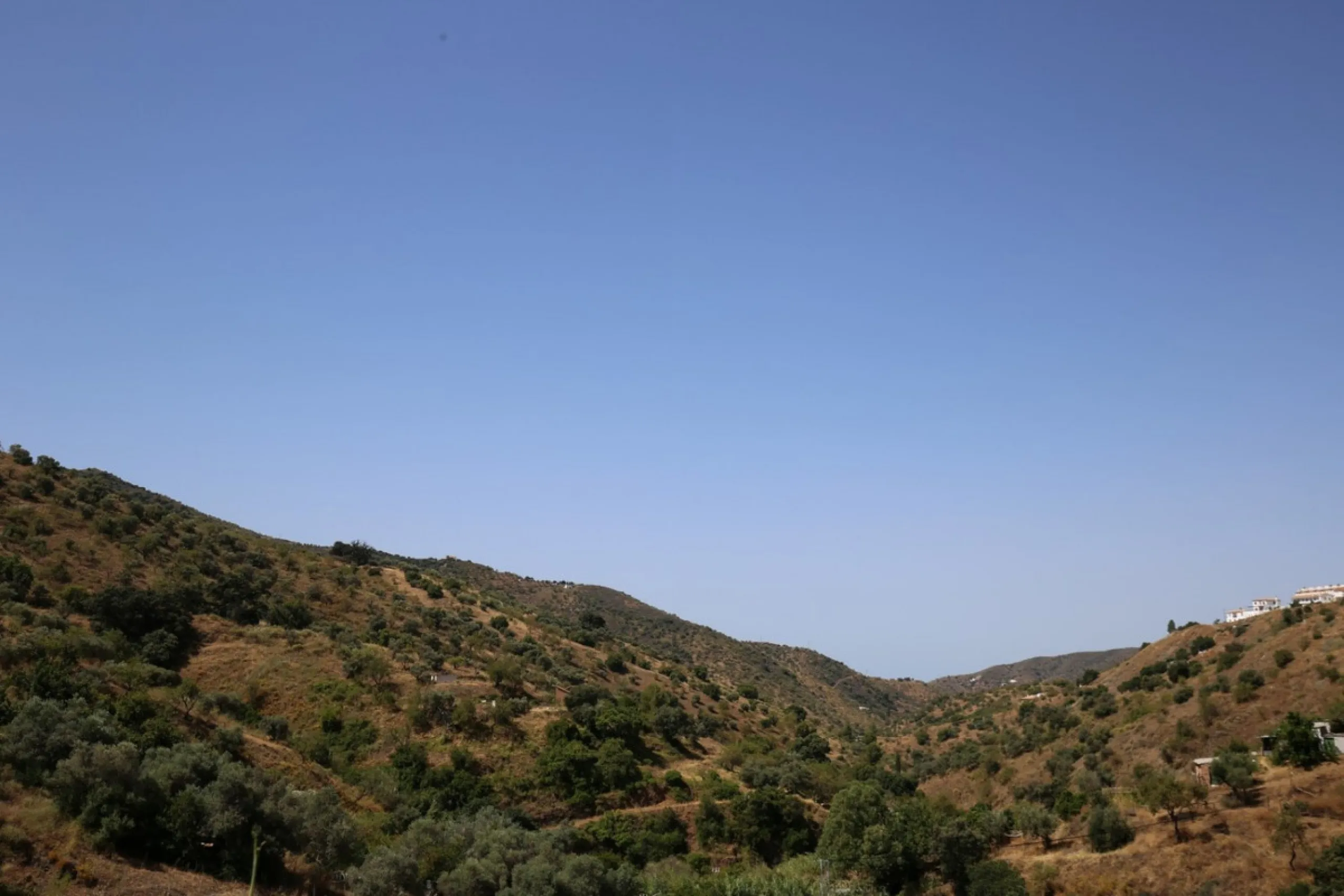 Totalán is a village located in Malaga's Axarquía, just half an hour from Malaga city center and the airport. The farm has 60,000 m2 with mango and avocado trees and vines of various kinds of grapes. It has two wells -one natural and one drilling-. It has