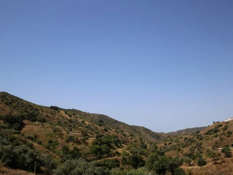 Totalán is a village located in Malaga's Axarquía, just half an hour from Malaga city center and the airport. The farm has 60,000 m2 with mango and avocado trees and vines of various kinds of grapes. It has two wells -one natural and one drilling-. It has