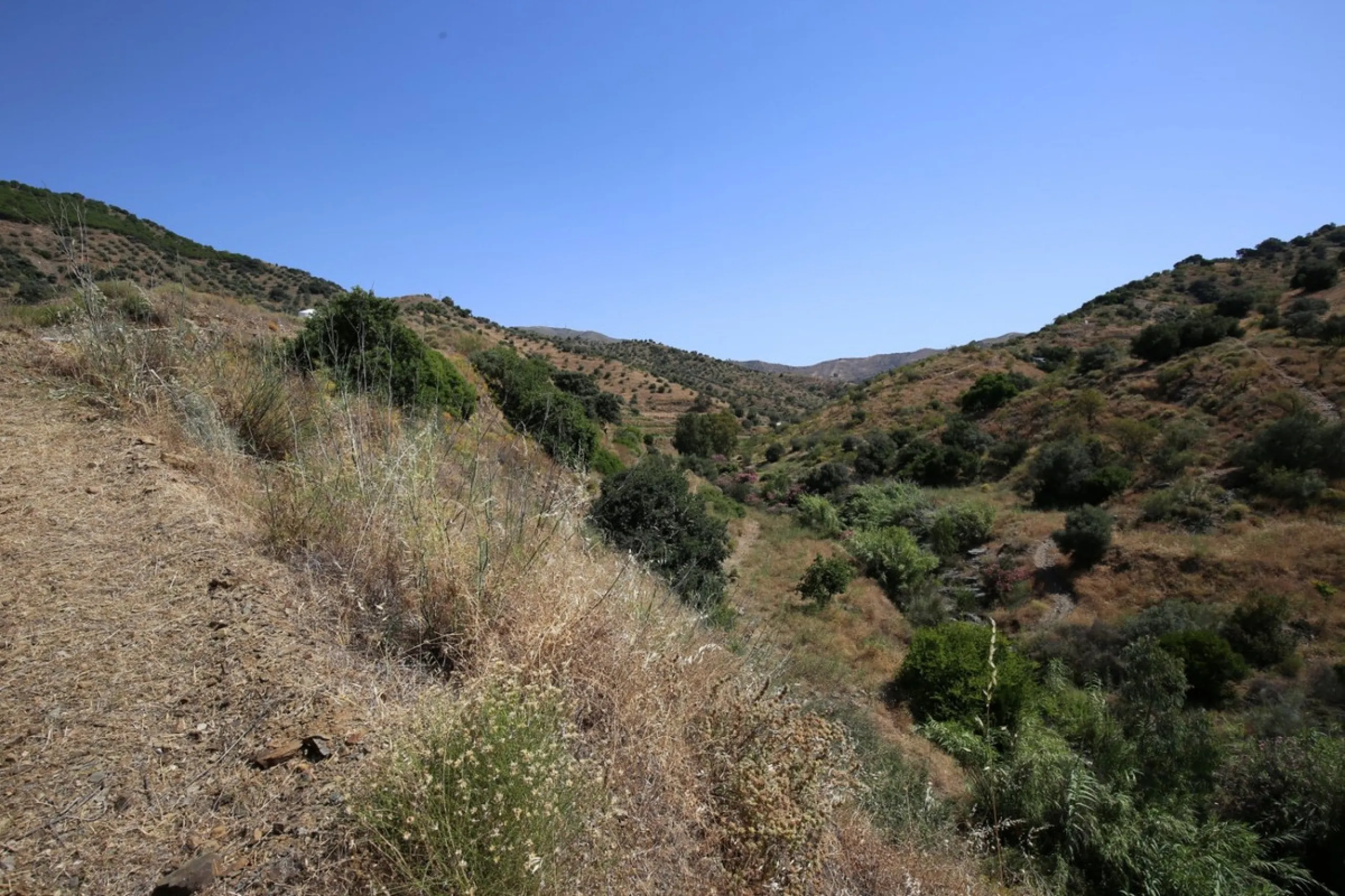 Totalán is a village located in Malaga's Axarquía, just half an hour from Malaga city center and the airport. The farm has 60,000 m2 with mango and avocado trees and vines of various kinds of grapes. It has two wells -one natural and one drilling-. It has