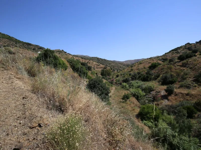 Totalán is a village located in Malaga's Axarquía, just half an hour from Malaga city center and the airport. The farm has 60,000 m2 with mango and avocado trees and vines of various kinds of grapes. It has two wells -one natural and one drilling-. It has