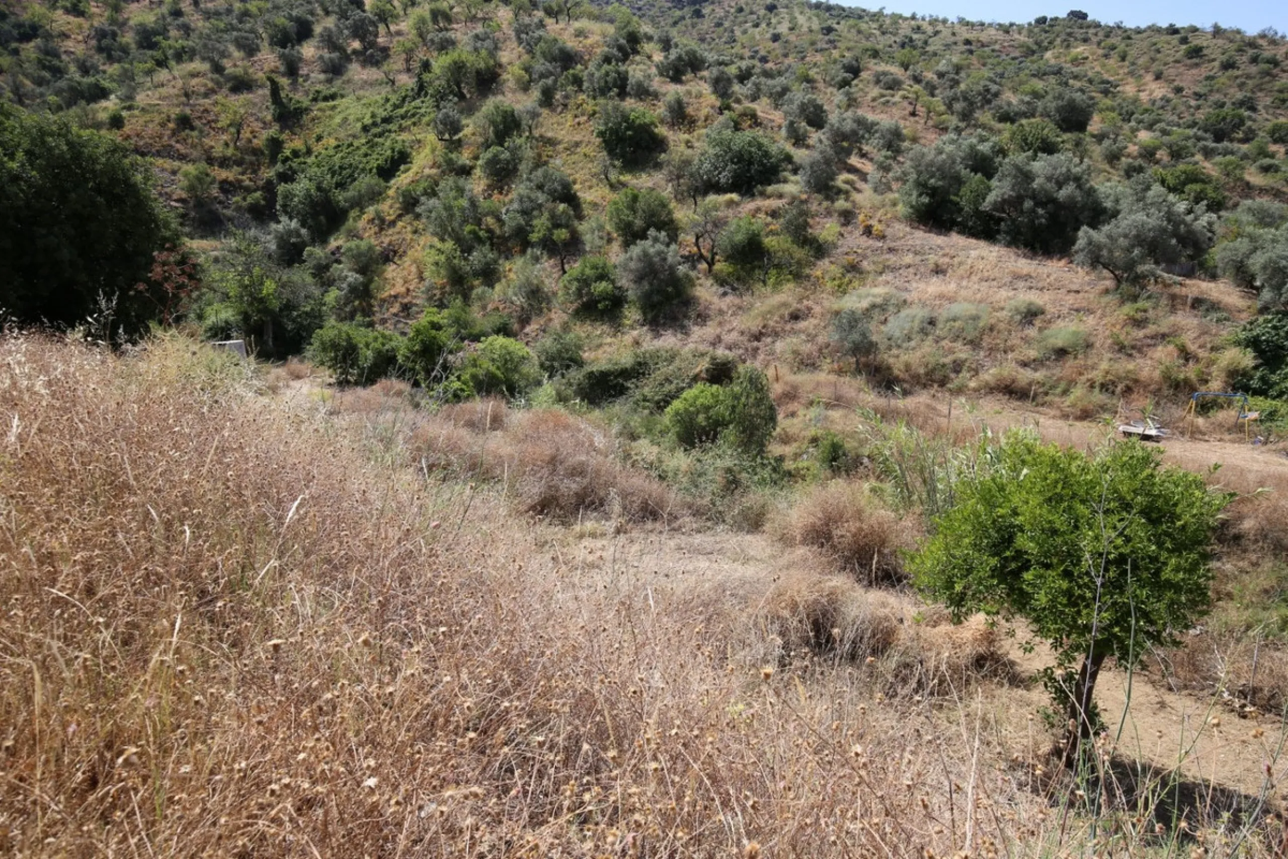 Totalán is a village located in Malaga's Axarquía, just half an hour from Malaga city center and the airport. The farm has 60,000 m2 with mango and avocado trees and vines of various kinds of grapes. It has two wells -one natural and one drilling-. It has