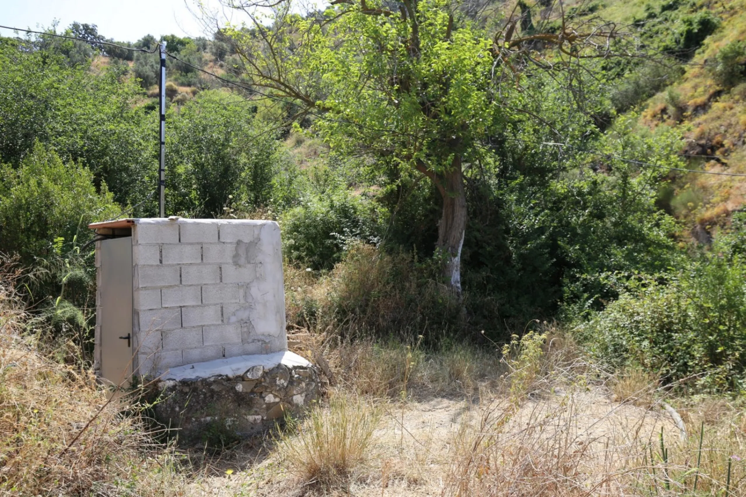 Totalán is a village located in Malaga's Axarquía, just half an hour from Malaga city center and the airport. The farm has 60,000 m2 with mango and avocado trees and vines of various kinds of grapes. It has two wells -one natural and one drilling-. It has
