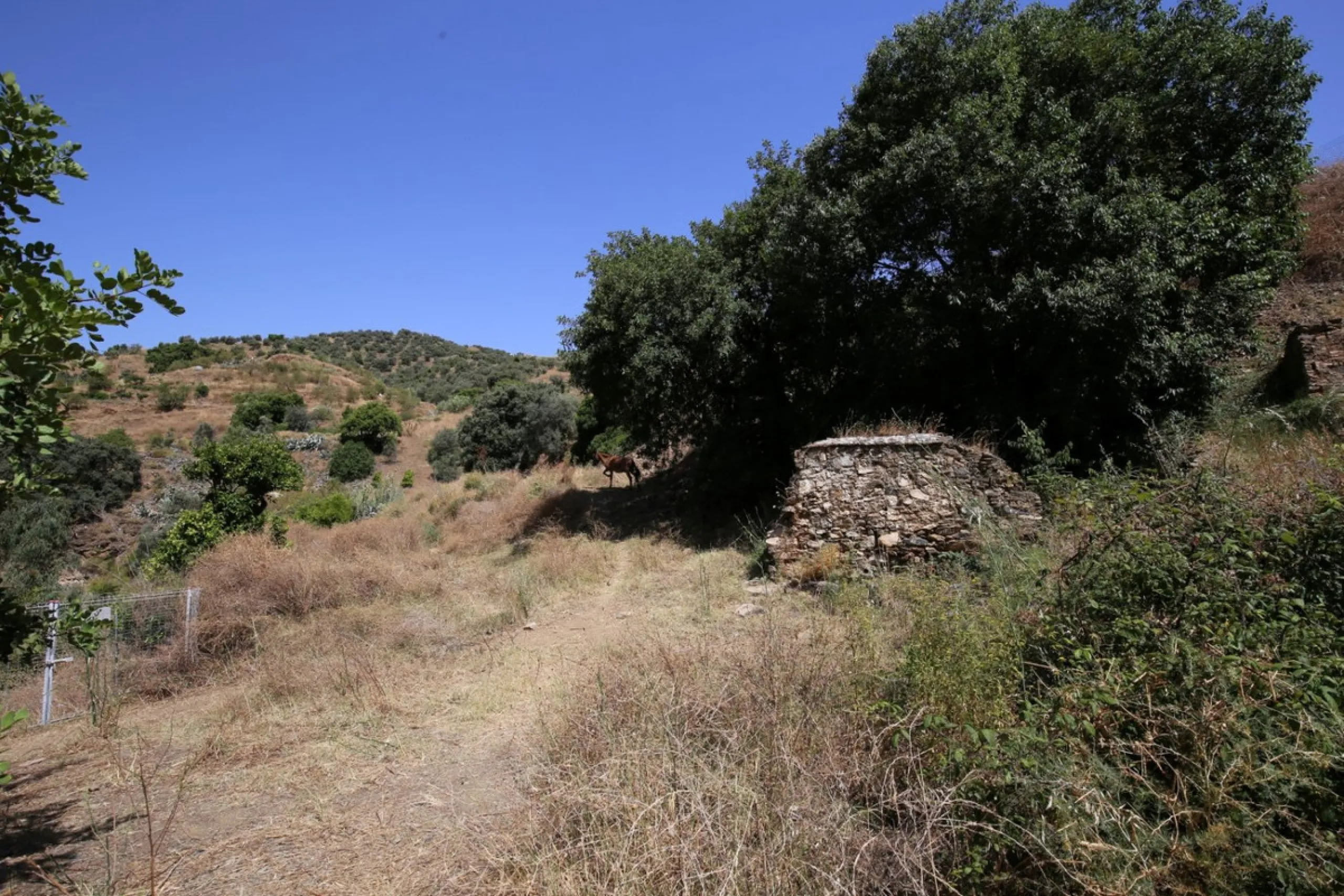 Totalán is a village located in Malaga's Axarquía, just half an hour from Malaga city center and the airport. The farm has 60,000 m2 with mango and avocado trees and vines of various kinds of grapes. It has two wells -one natural and one drilling-. It has