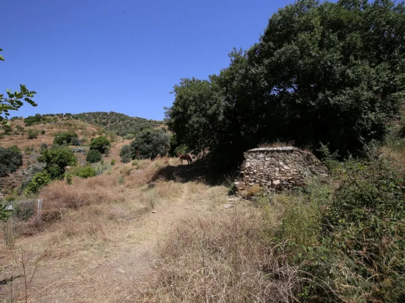 Totalán is a village located in Malaga's Axarquía, just half an hour from Malaga city center and the airport. The farm has 60,000 m2 with mango and avocado trees and vines of various kinds of grapes. It has two wells -one natural and one drilling-. It has