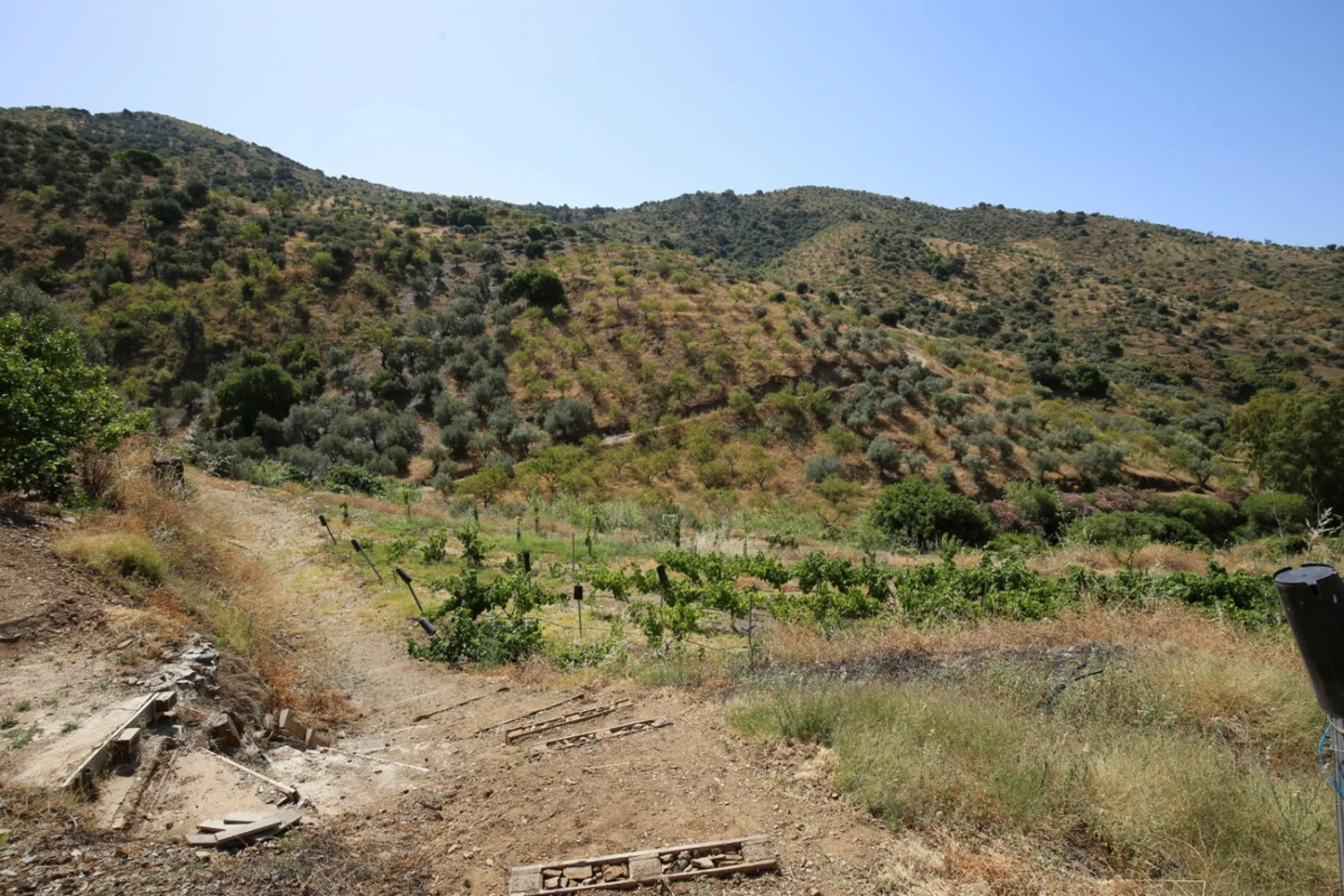 Totalán is a village located in Malaga's Axarquía, just half an hour from Malaga city center and the airport. The farm has 60,000 m2 with mango and avocado trees and vines of various kinds of grapes. It has two wells -one natural and one drilling-. It has