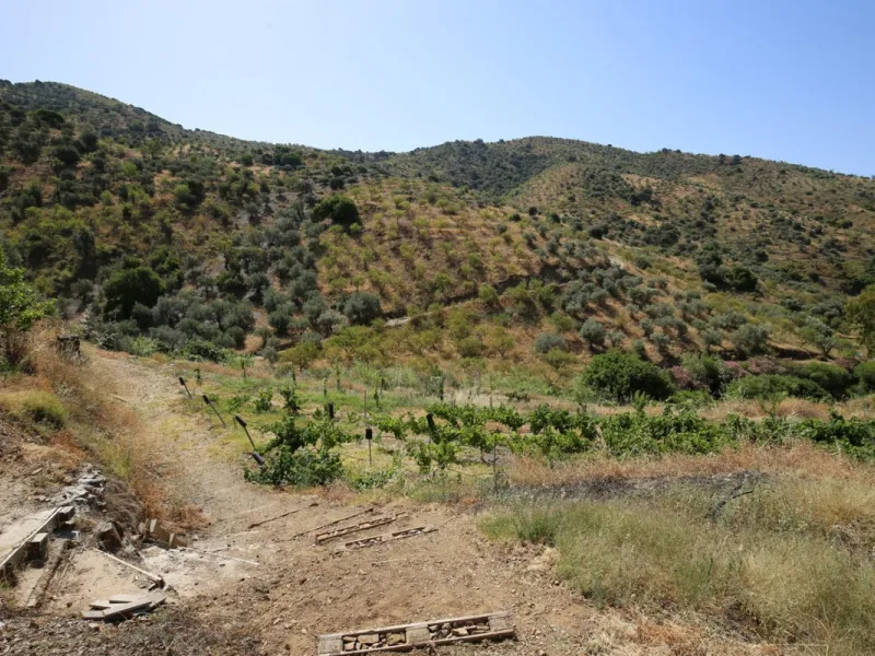 Totalán is a village located in Malaga's Axarquía, just half an hour from Malaga city center and the airport. The farm has 60,000 m2 with mango and avocado trees and vines of various kinds of grapes. It has two wells -one natural and one drilling-. It has