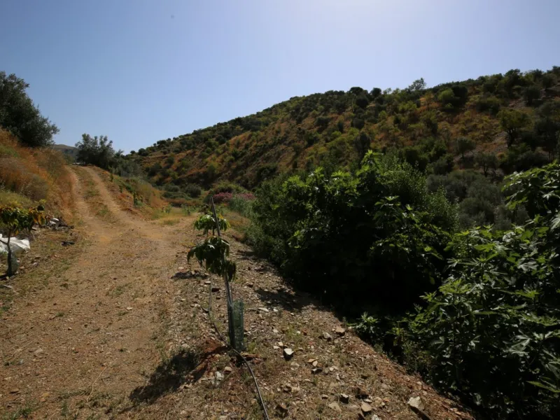 Totalán is a village located in Malaga's Axarquía, just half an hour from Malaga city center and the airport. The farm has 60,000 m2 with mango and avocado trees and vines of various kinds of grapes. It has two wells -one natural and one drilling-. It has