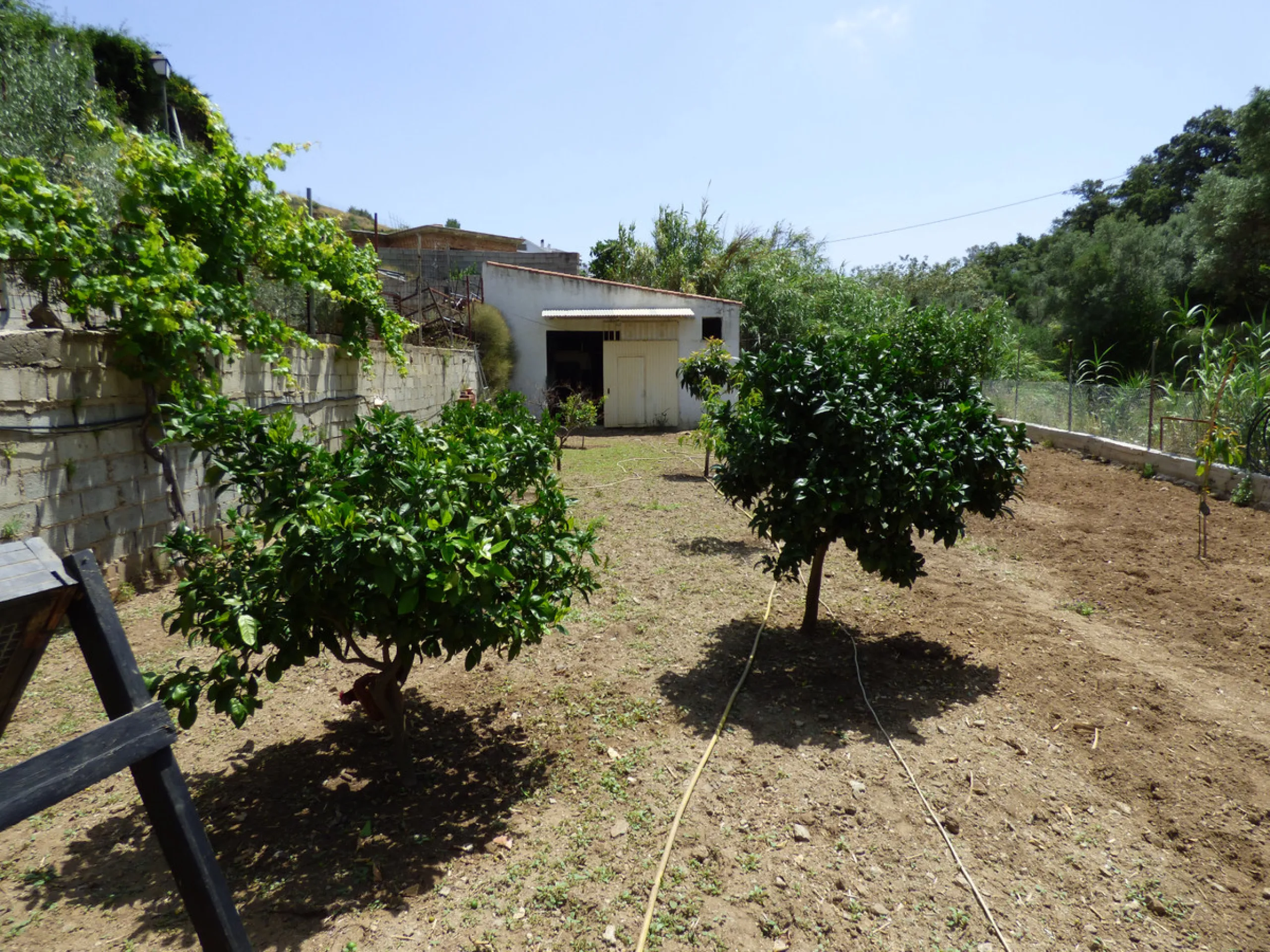 PLOT IN EL HORNILLO WITH BUILT HOUSING, GARDENS, FRUIT TREES, STORAGE AND MORE CONSTRUCTIONS
