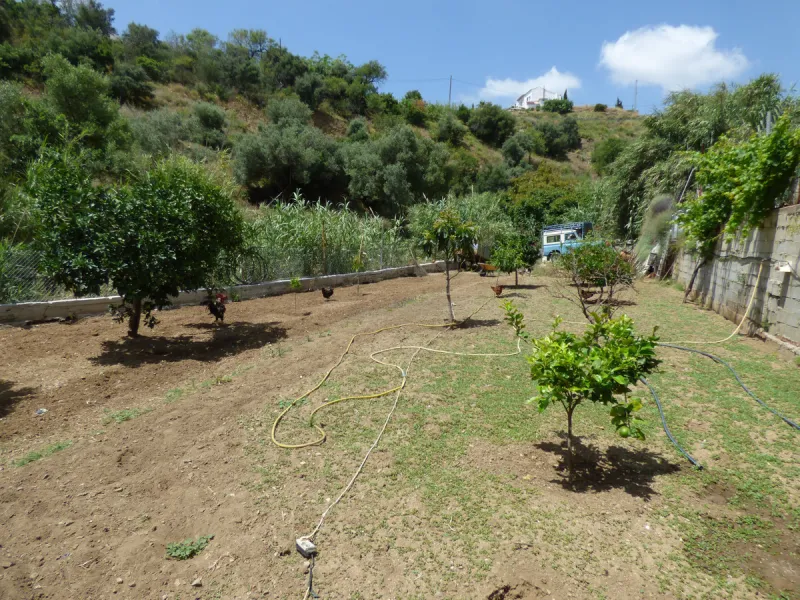 PLOT IN EL HORNILLO WITH BUILT HOUSING, GARDENS, FRUIT TREES, STORAGE AND MORE CONSTRUCTIONS