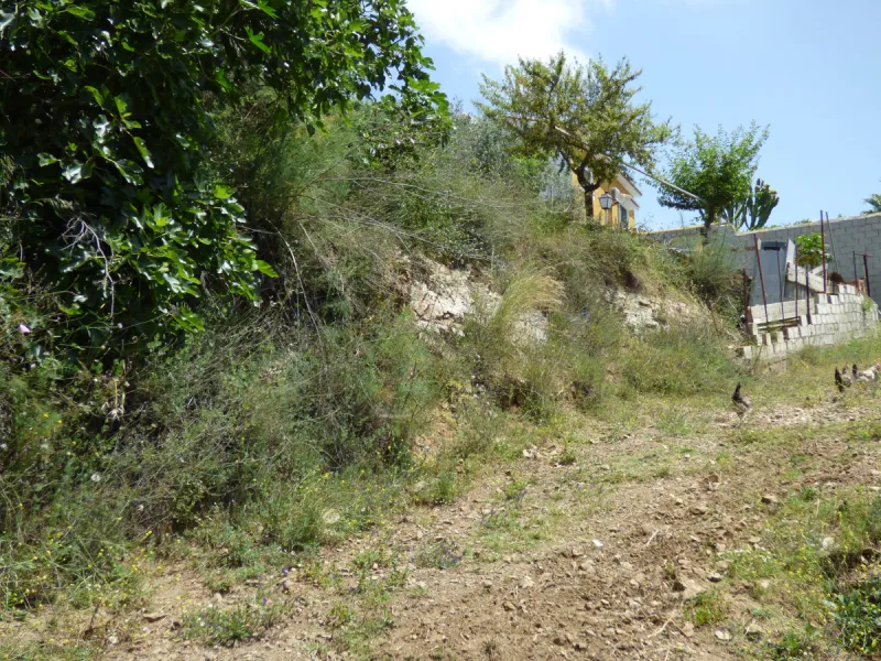PLOT IN EL HORNILLO WITH BUILT HOUSING, GARDENS, FRUIT TREES, STORAGE AND MORE CONSTRUCTIONS