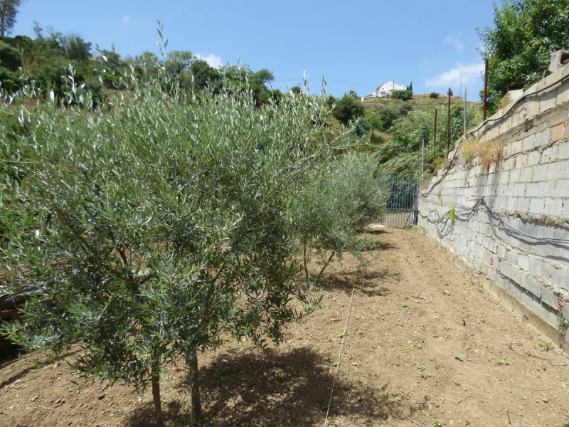 PLOT IN EL HORNILLO WITH BUILT HOUSING, GARDENS, FRUIT TREES, STORAGE AND MORE CONSTRUCTIONS