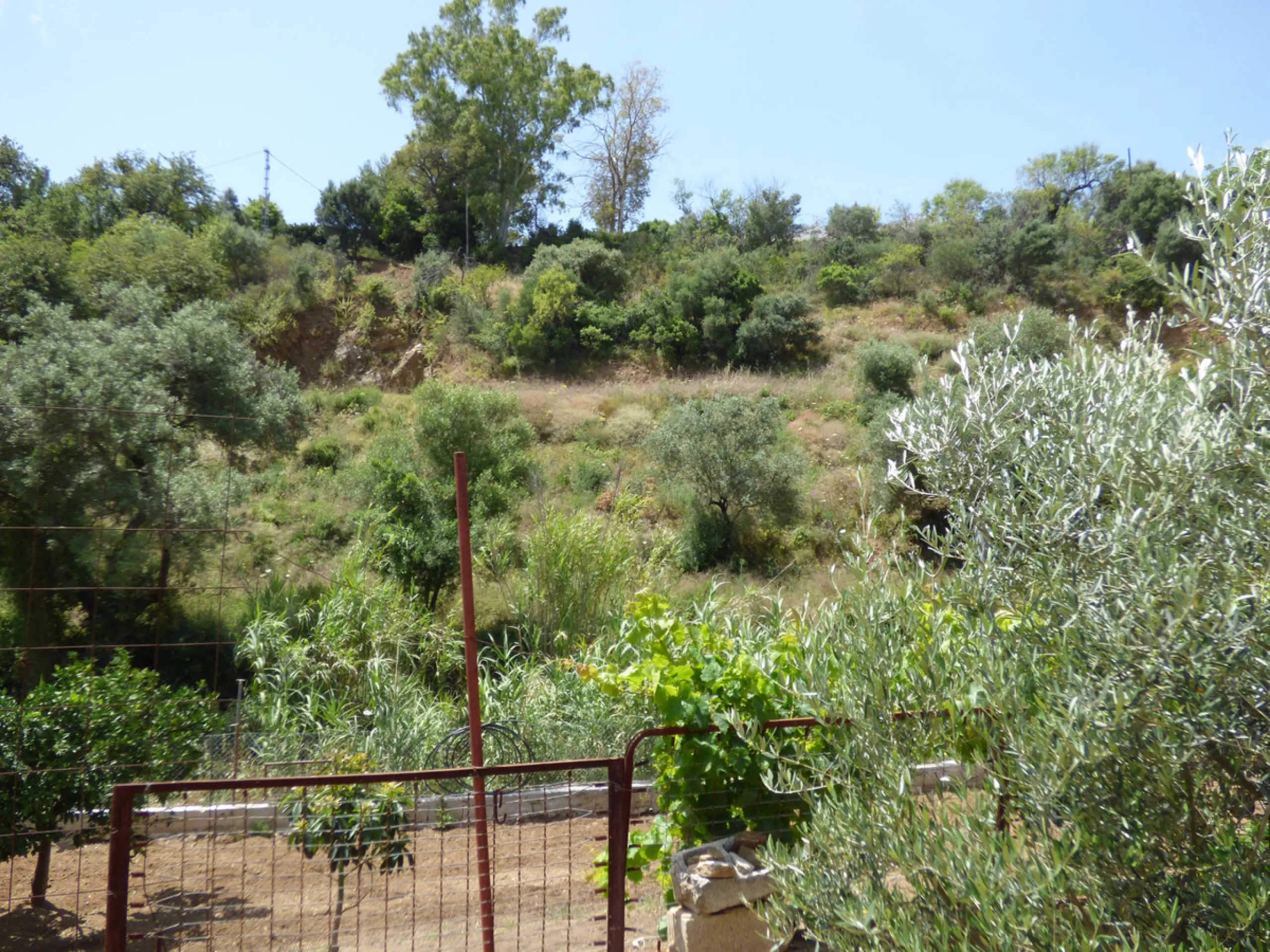 PLOT IN EL HORNILLO WITH BUILT HOUSING, GARDENS, FRUIT TREES, STORAGE AND MORE CONSTRUCTIONS