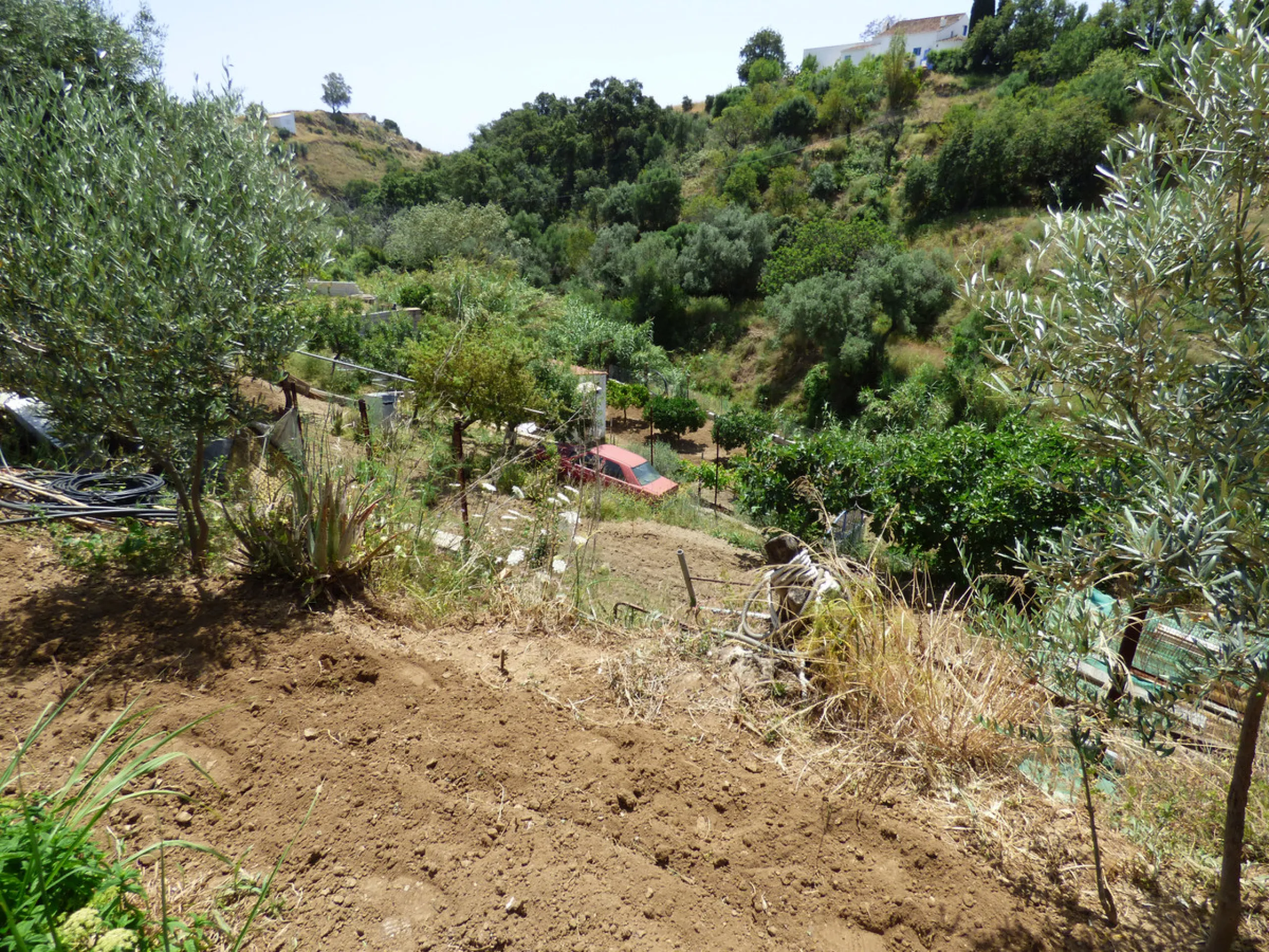 PLOT IN EL HORNILLO WITH BUILT HOUSING, GARDENS, FRUIT TREES, STORAGE AND MORE CONSTRUCTIONS