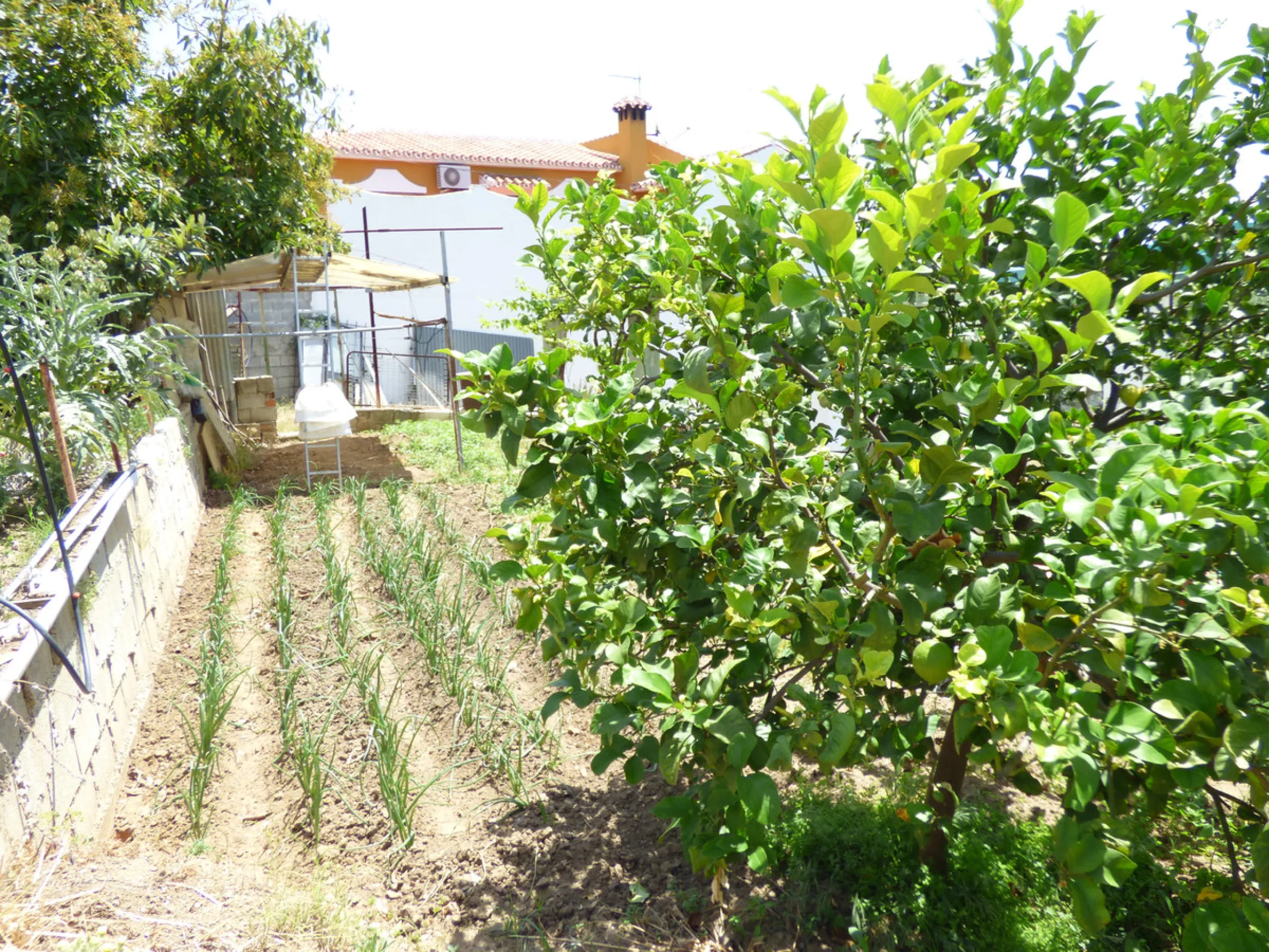 PLOT IN EL HORNILLO WITH BUILT HOUSING, GARDENS, FRUIT TREES, STORAGE AND MORE CONSTRUCTIONS