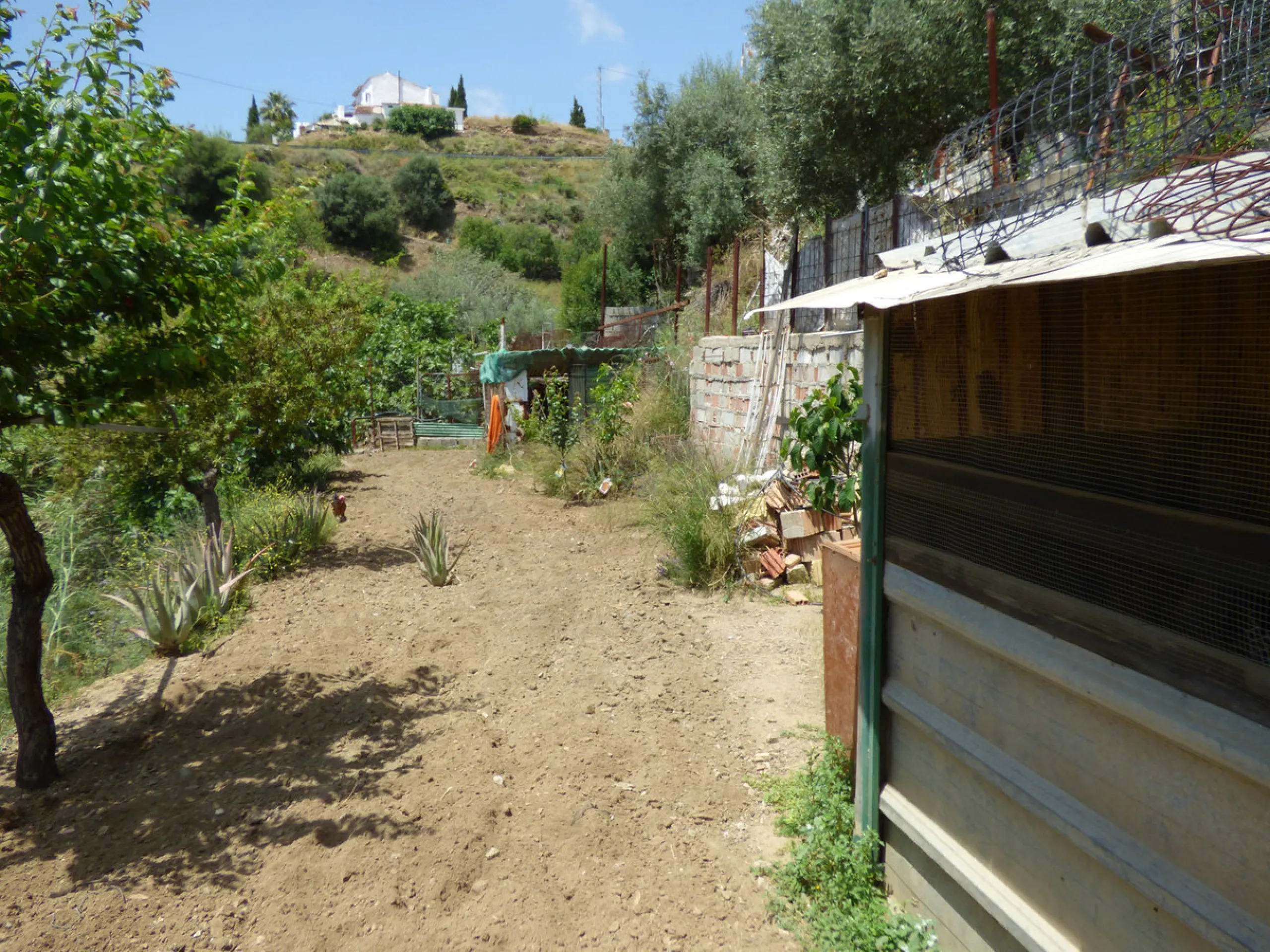 PLOT IN EL HORNILLO WITH BUILT HOUSING, GARDENS, FRUIT TREES, STORAGE AND MORE CONSTRUCTIONS