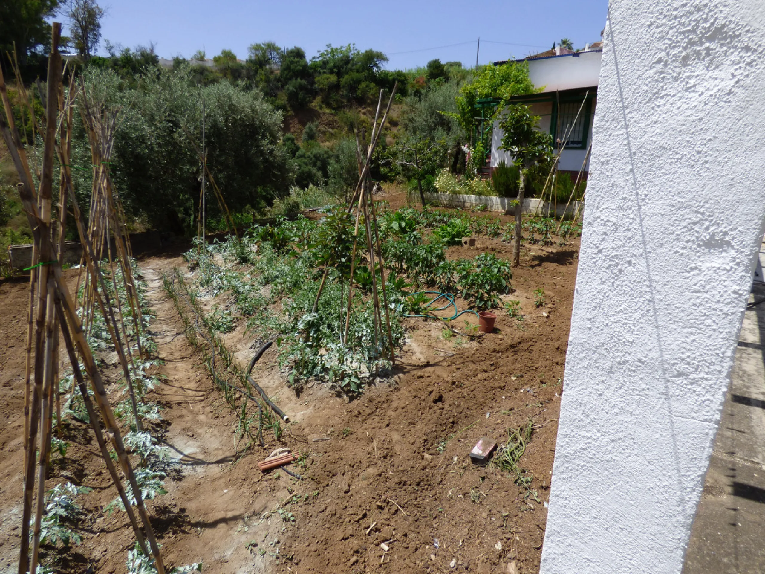 PLOT IN EL HORNILLO WITH BUILT HOUSING, GARDENS, FRUIT TREES, STORAGE AND MORE CONSTRUCTIONS