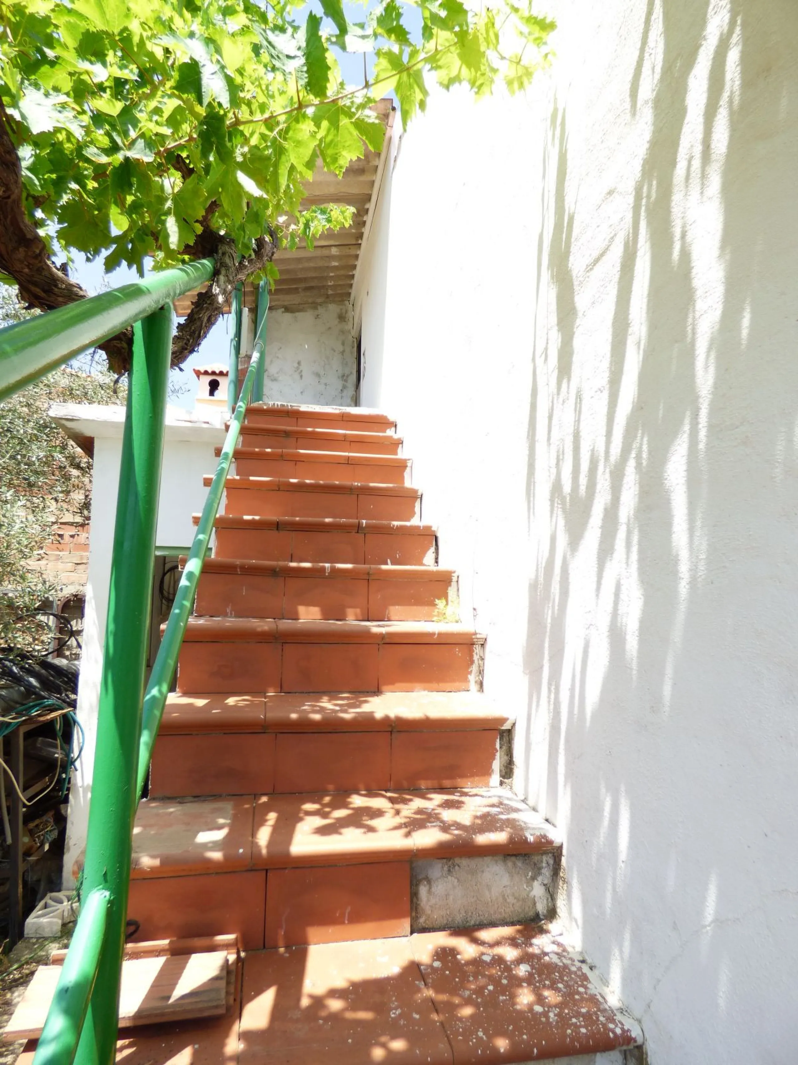 PLOT IN EL HORNILLO WITH BUILT HOUSING, GARDENS, FRUIT TREES, STORAGE AND MORE CONSTRUCTIONS