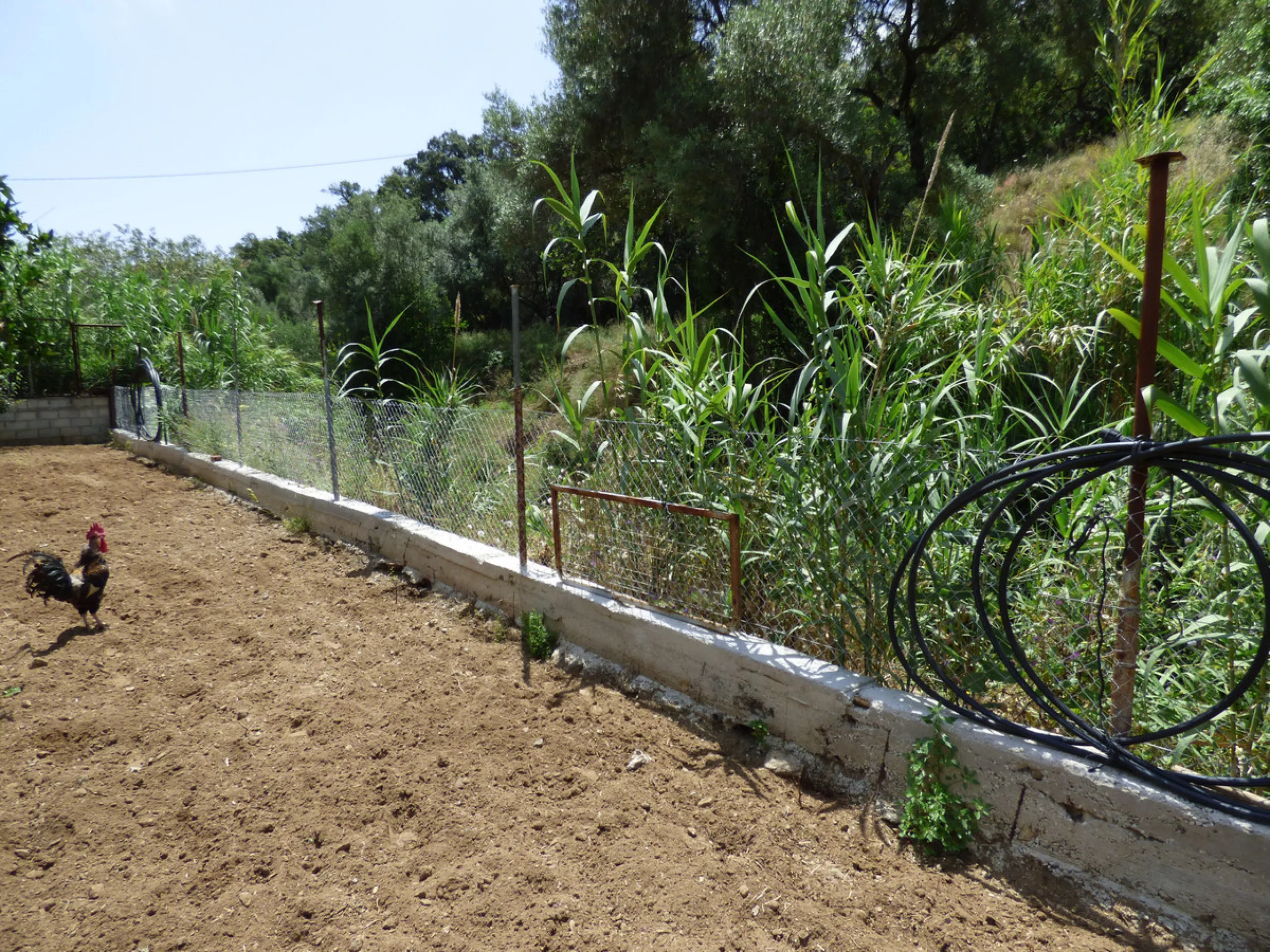 PLOT IN EL HORNILLO WITH BUILT HOUSING, GARDENS, FRUIT TREES, STORAGE AND MORE CONSTRUCTIONS