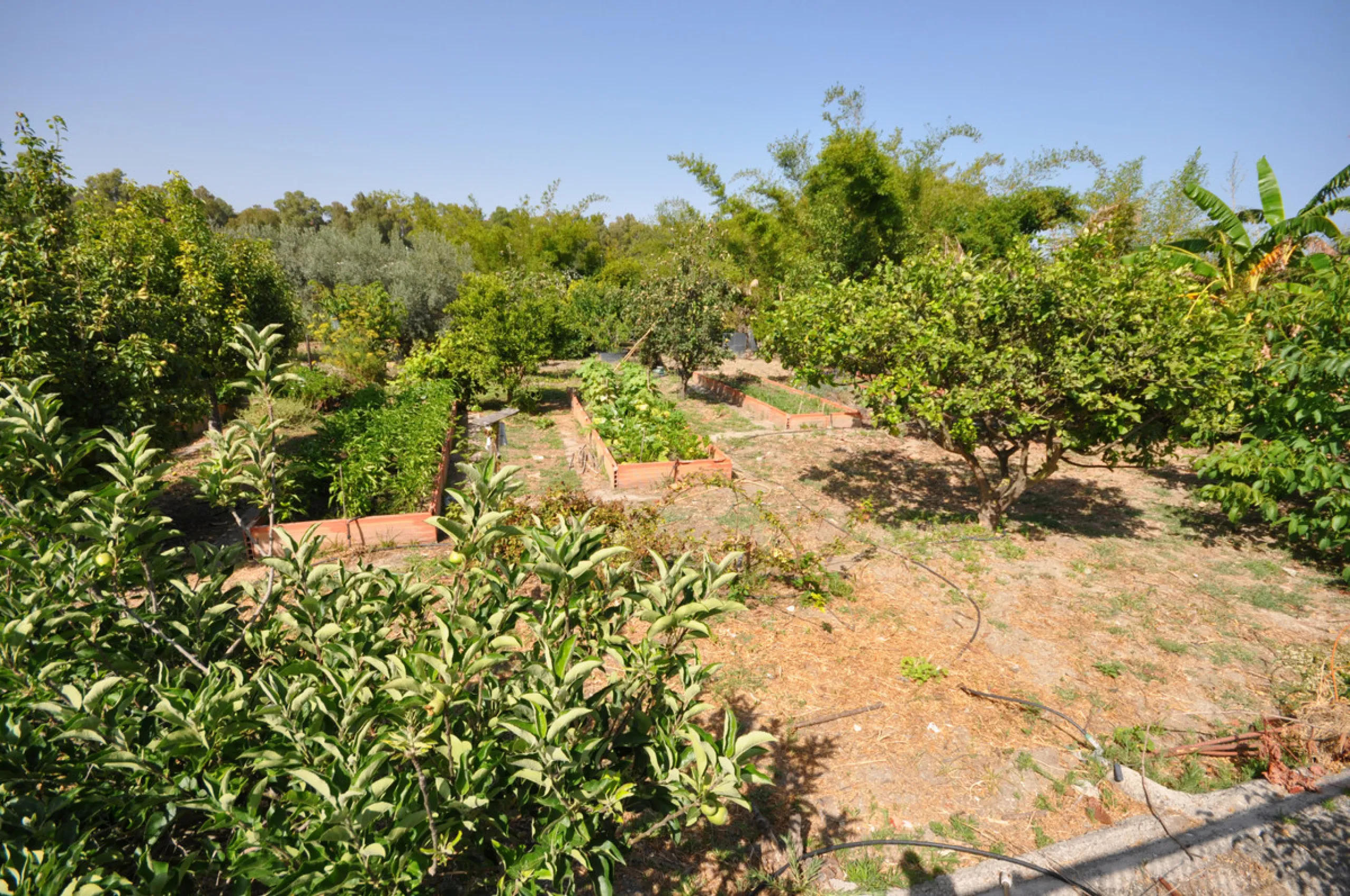 House - Detached Villa в продаже в Casares, Málaga. В доме 4 спален и 3 ванных комнат. Площадь дома 310 м². Площадь участка 2200 м²