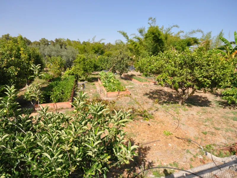 House - Detached Villa в продаже в Casares, Málaga. В доме 4 спален и 3 ванных комнат. Площадь дома 310 м². Площадь участка 2200 м²