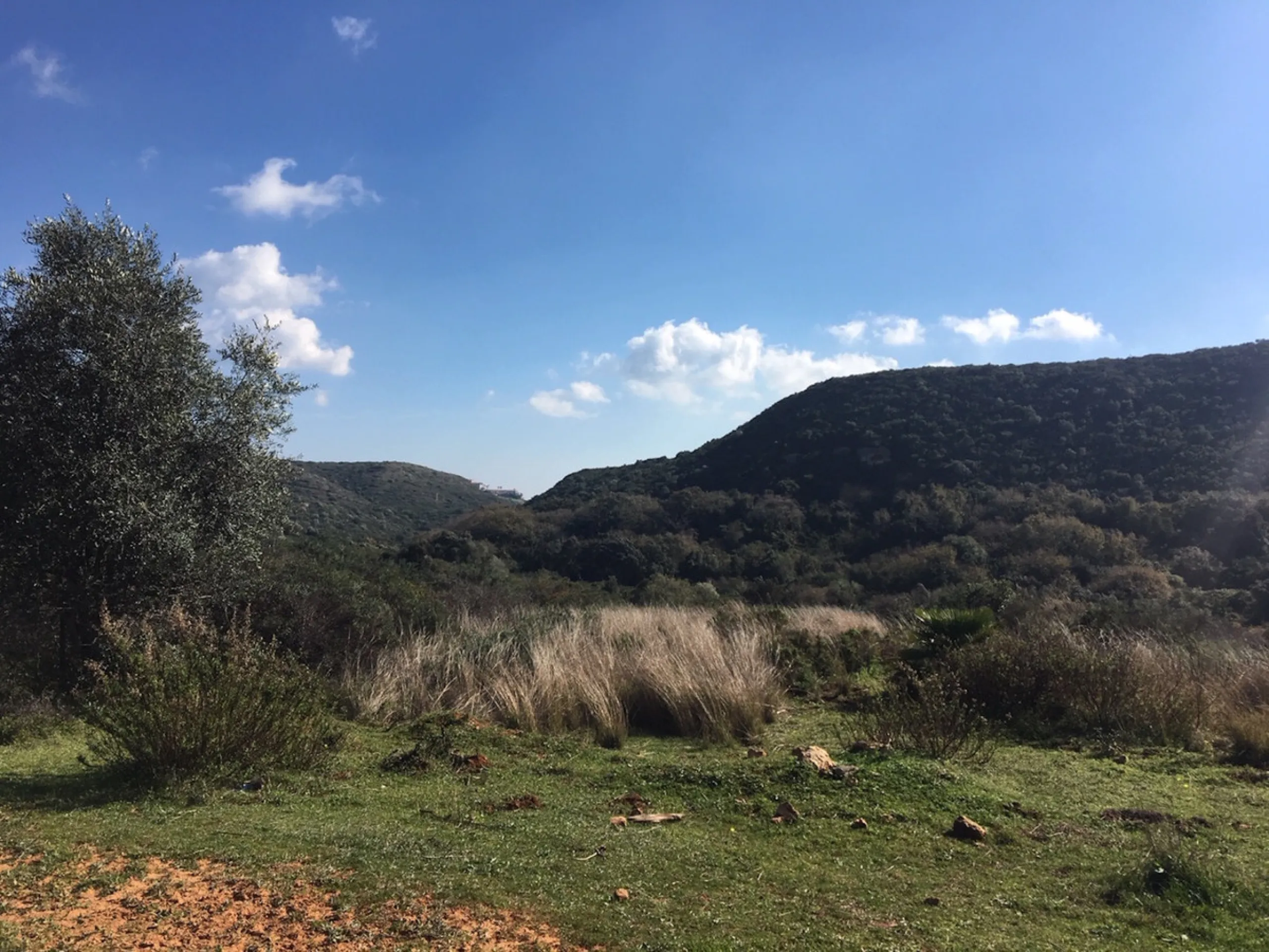 Plot - Land в продаже в Manilva, Málaga. Площадь участка 143500 м²